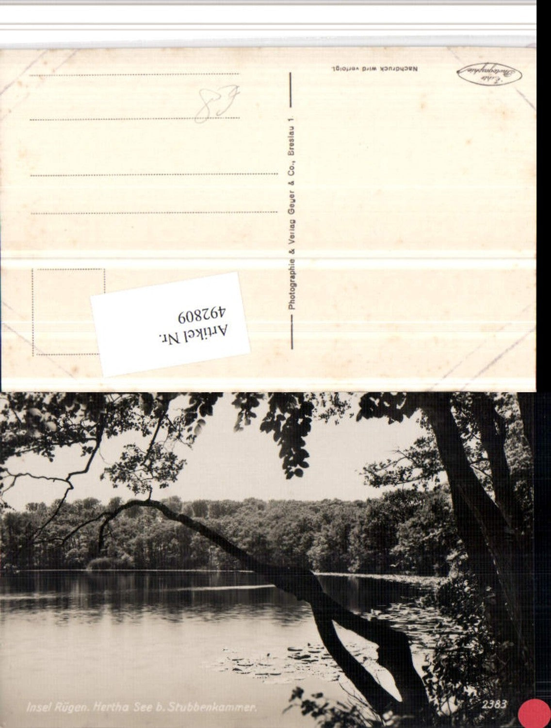 492809,Insel Rügen Hertha See b. Stubbenkammer