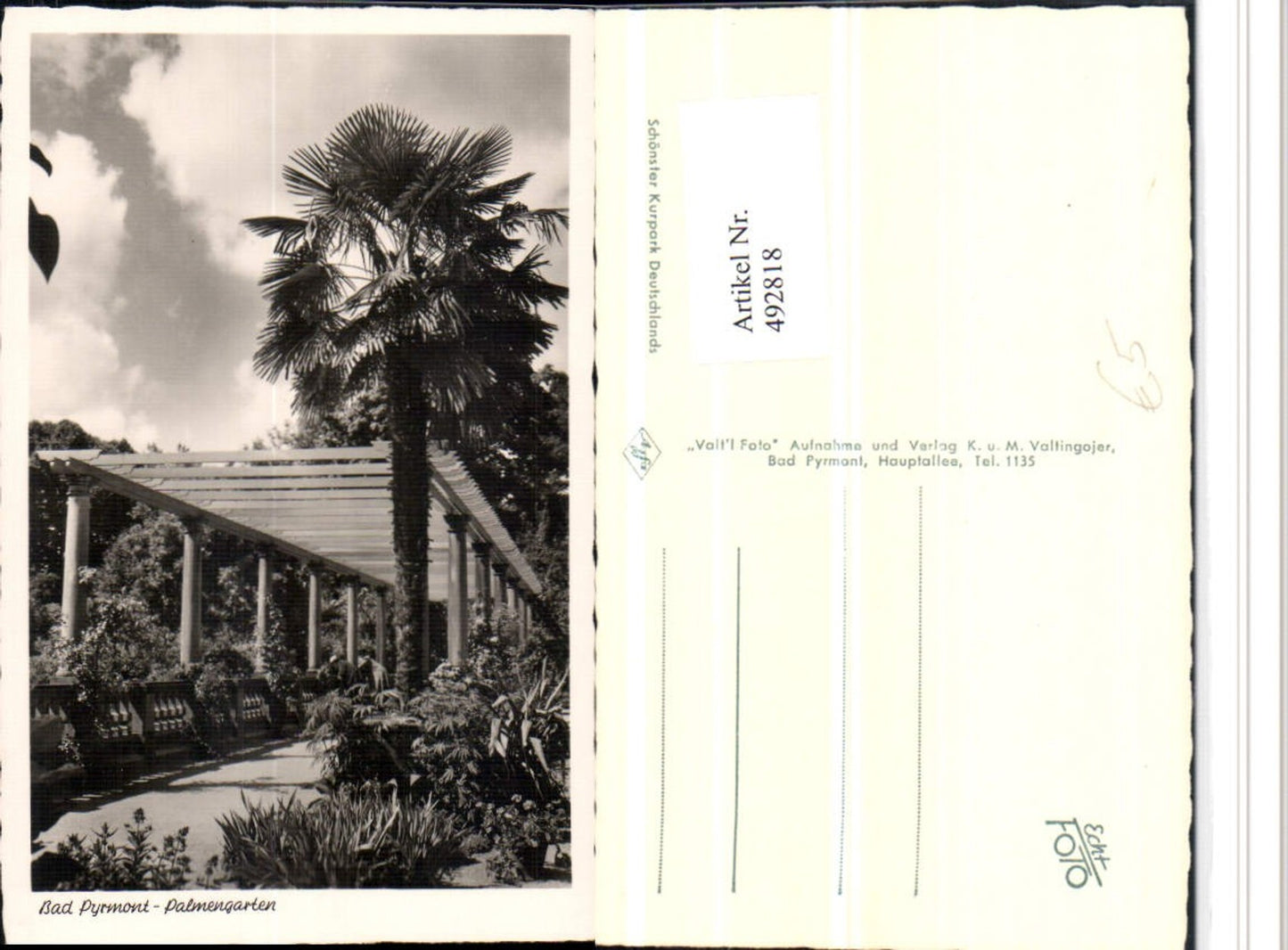 492818,Bad Pyrmont Palmengarten Laube Palme
