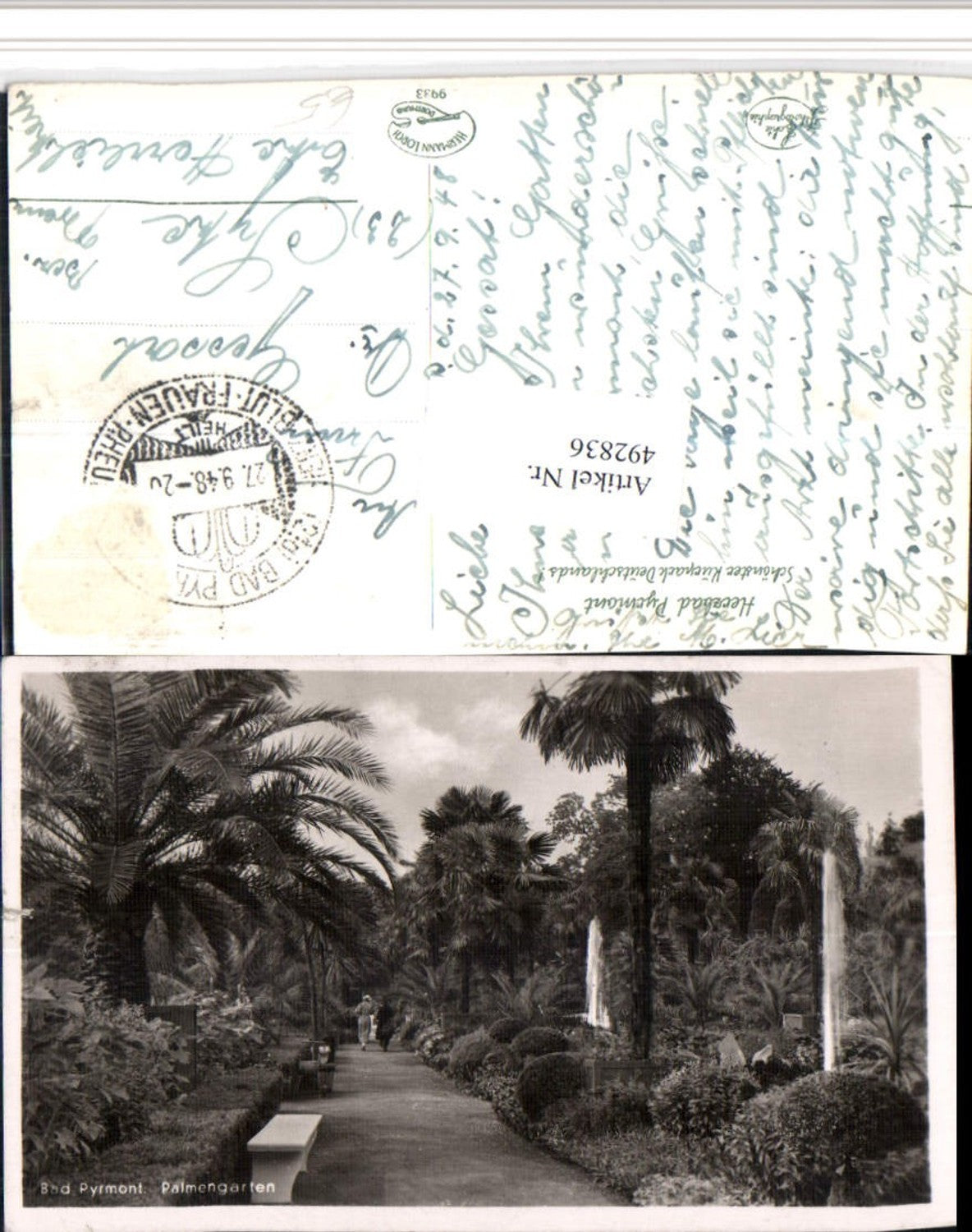 492836,Bad Pyrmont Kurpark Palmengarten Palmen