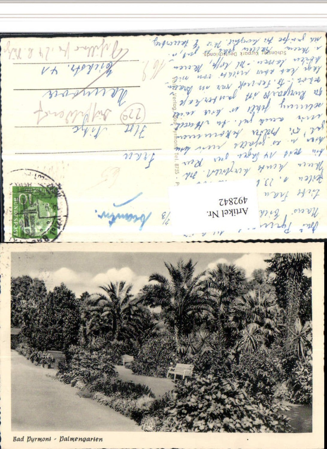 492842,Bad Pyrmont Palmengarten Palmen