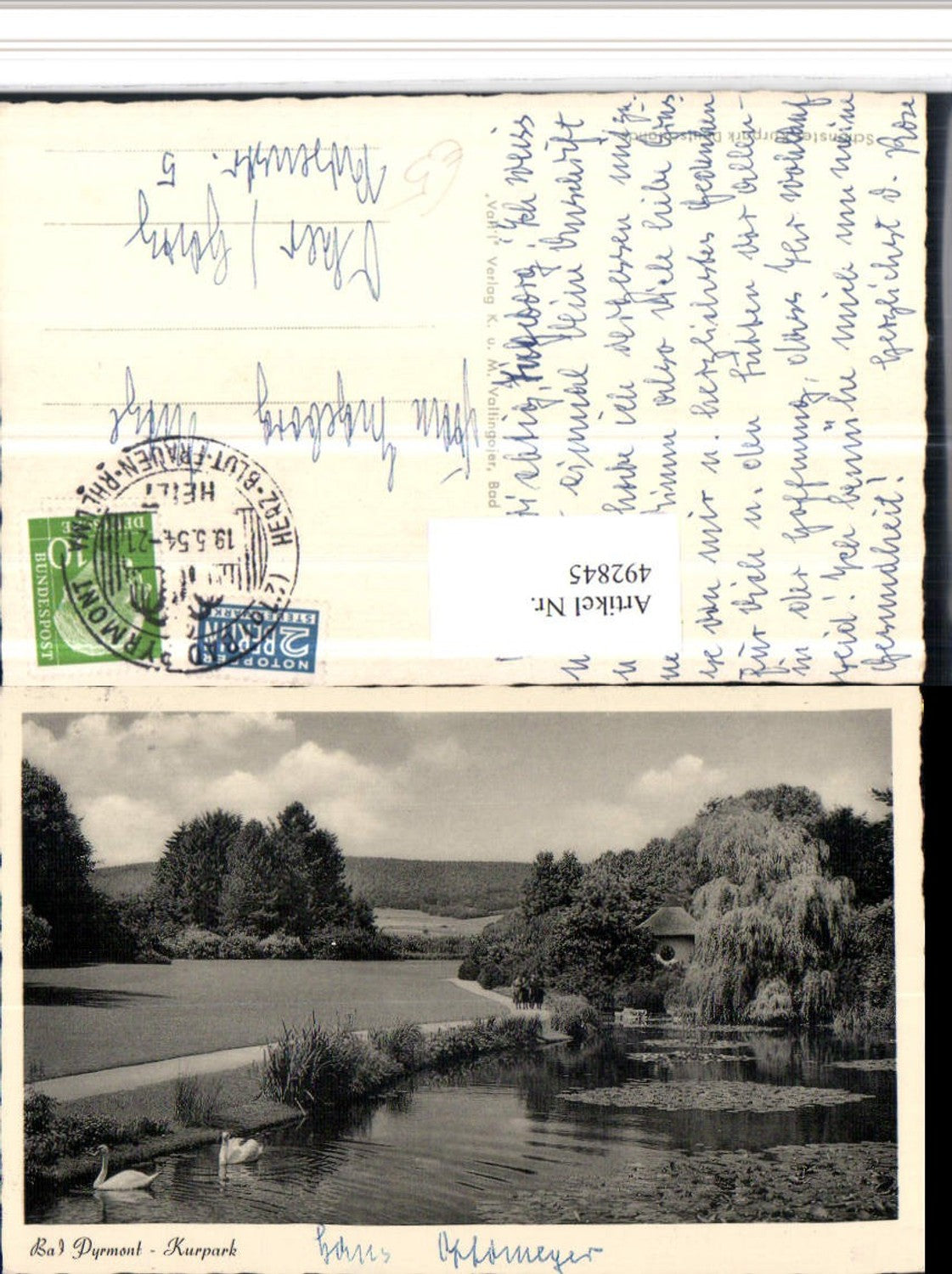 492845,Bad Pyrmont Kurpark Teich Schwäne