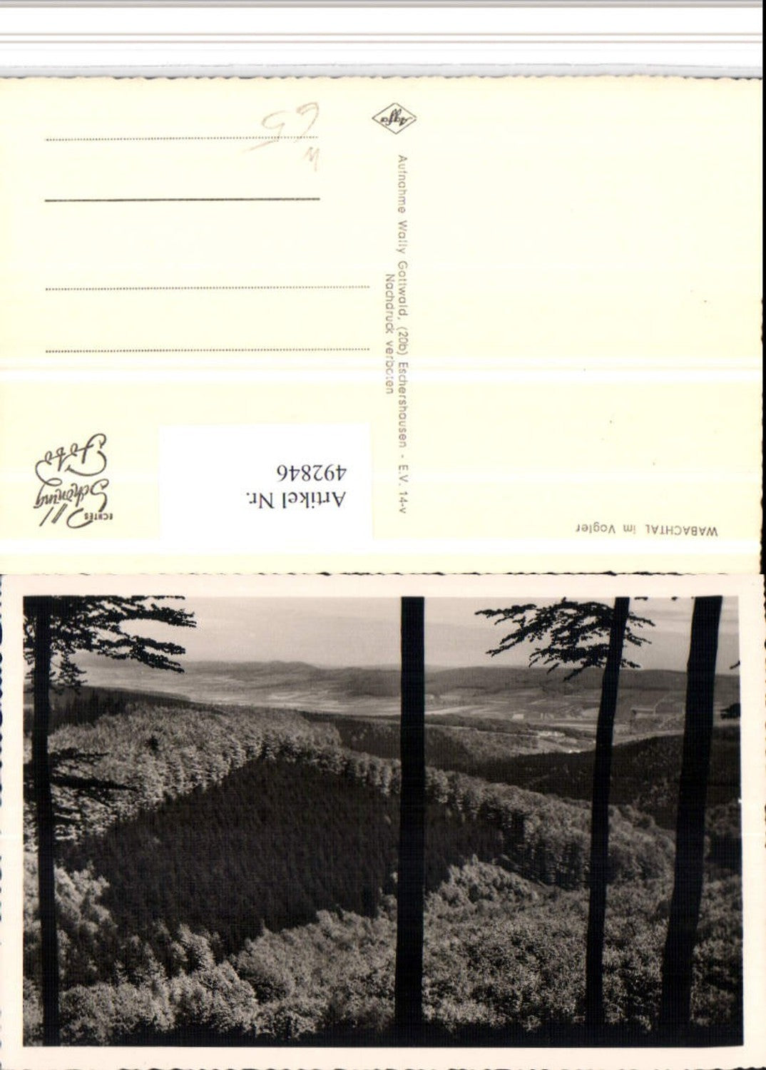 492846,Wabachtal im Vogler Ausblick Wald