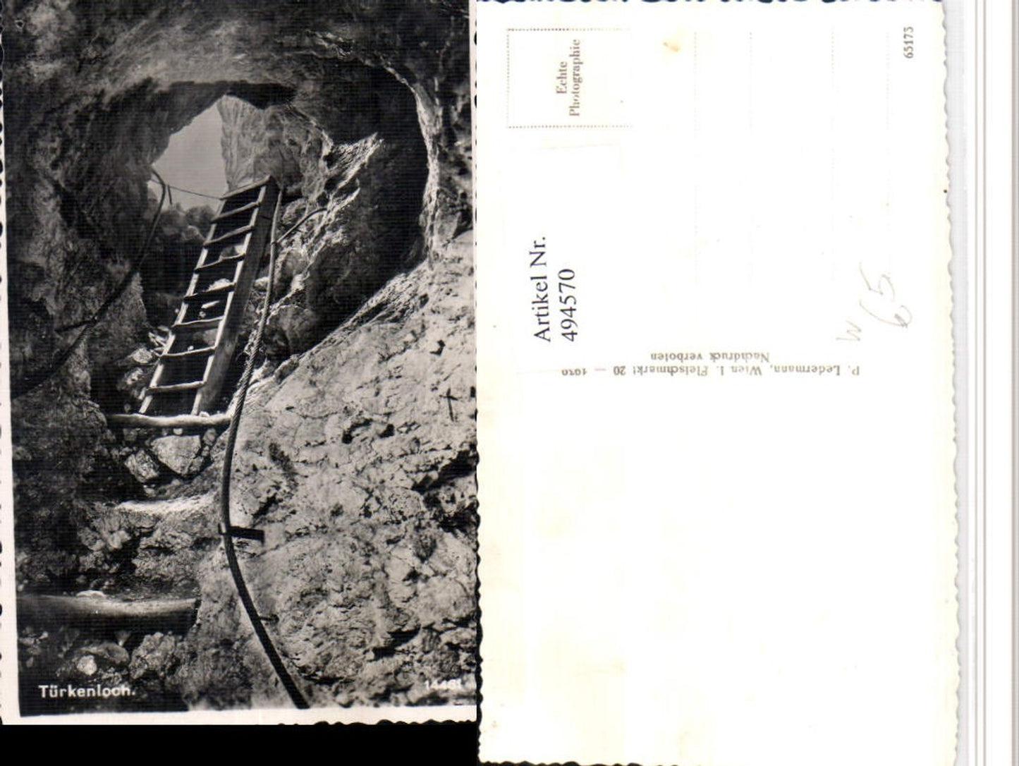 494570,Steinwandklamm b. Weissenbach an d. Triesting Türkenloch Leiter