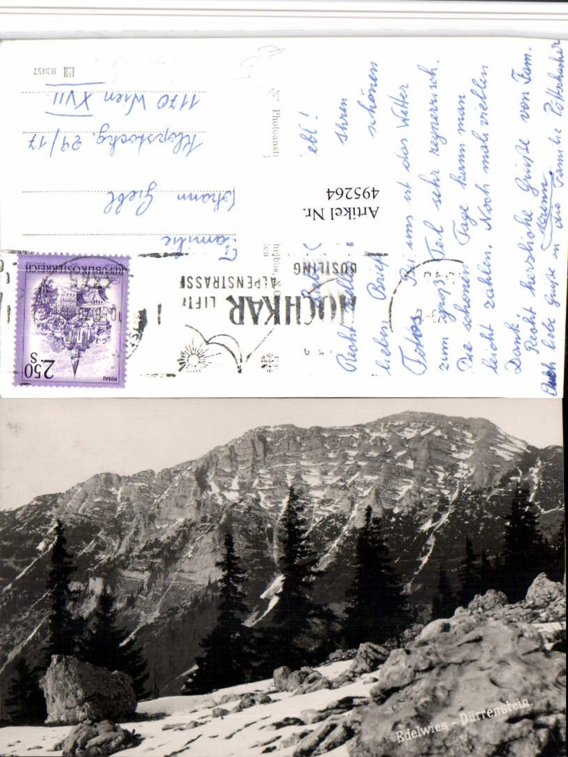 495264,Edelwies Dürrenstein b. Göstling Bergkulisse