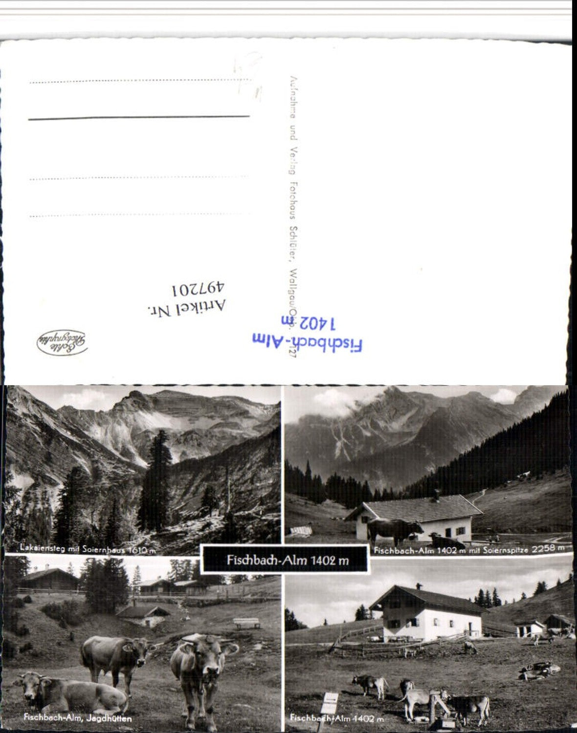 497201,Fischbach-Alm b. Krün Rinder Kühe Lakaiensteg Mehrbildkarte