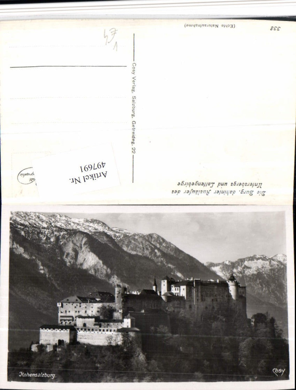 497691,Salzburg Festung Hohensalzburg Bergkulisse pub Cosy