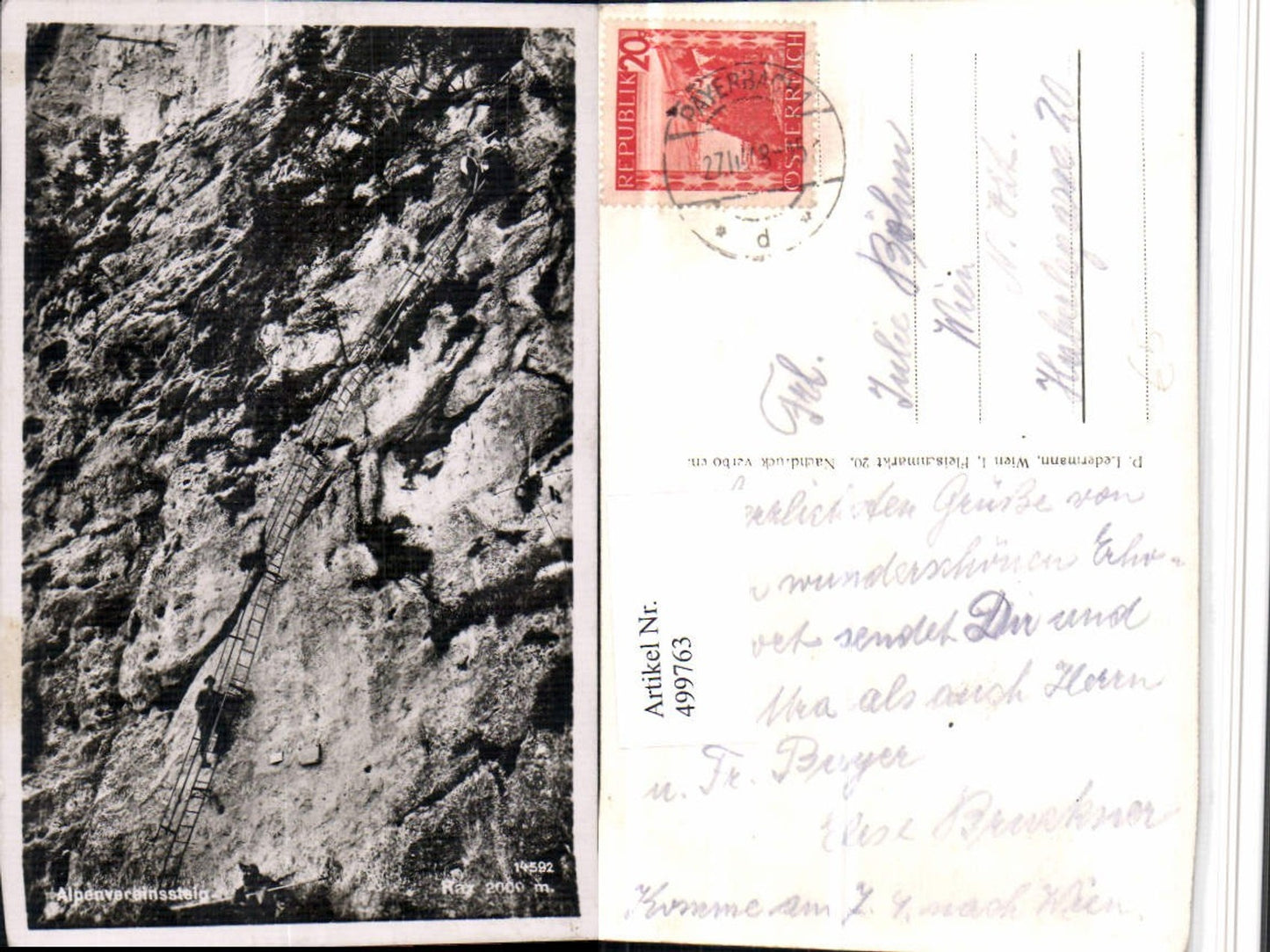 499763,Rax Alpenvereinssteig b. Reichenau Leiter Felswand