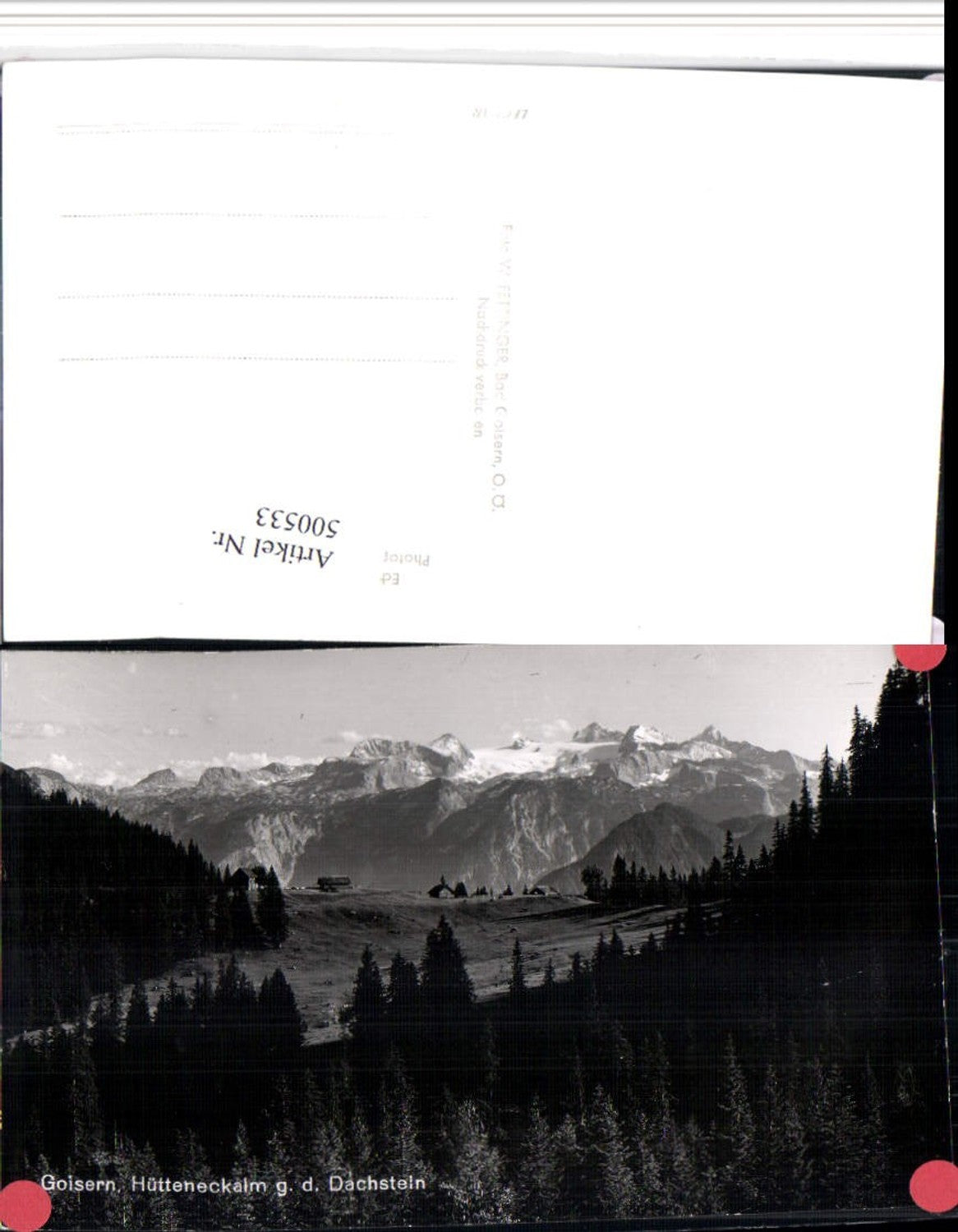 500533,Goisern Hütteneckalm geg. Dachstein Bergkulisse
