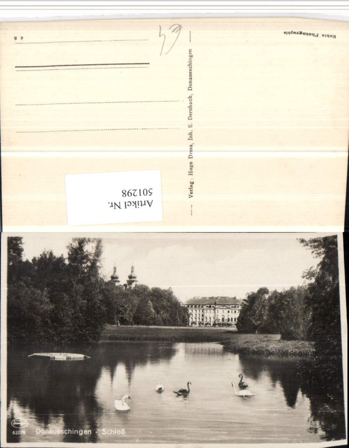 501298,Donaueschingen Schloss Teich Schwäne