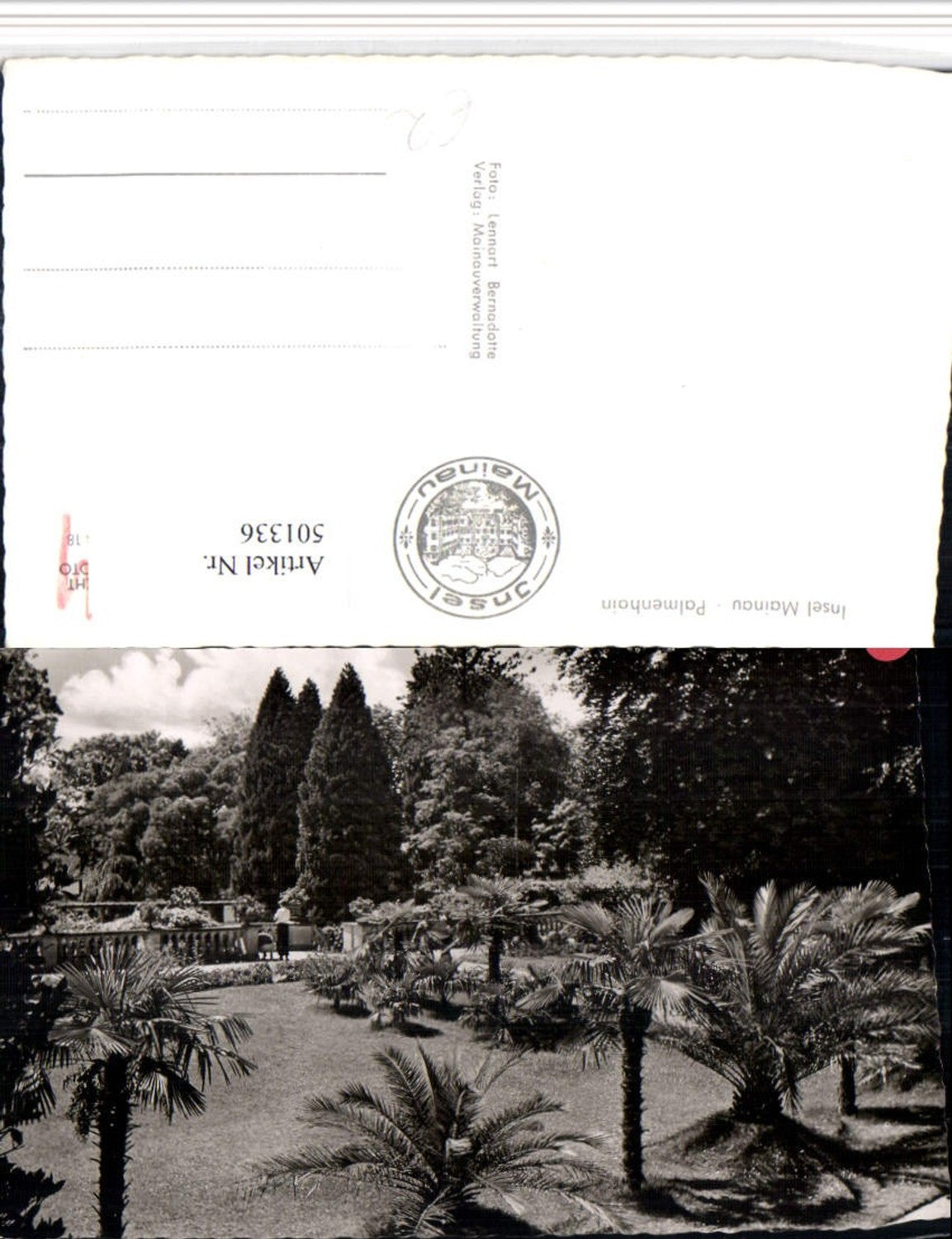 501336,Insel Mainau im Bodensee b. Konstanz Palmenhain Palmen