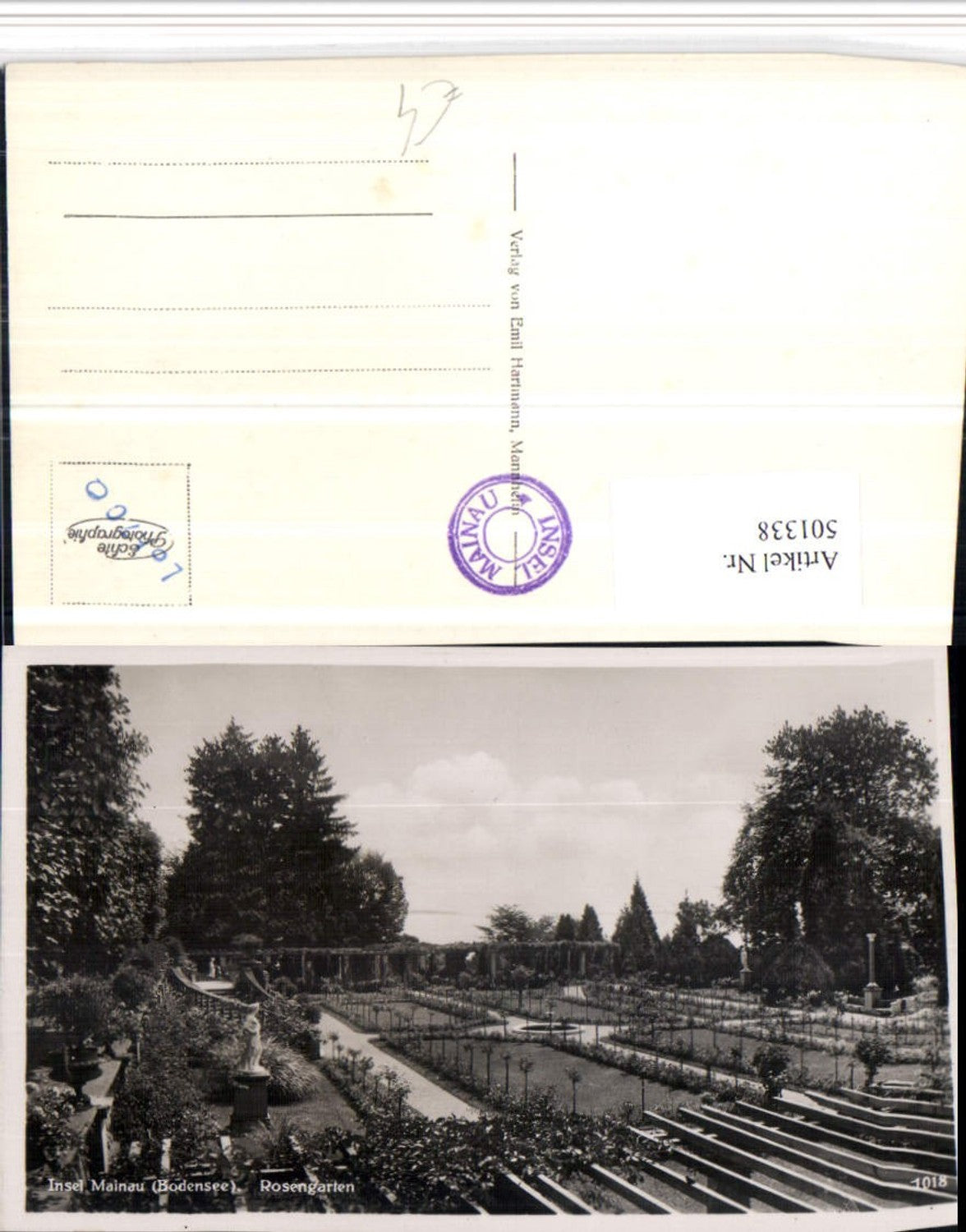 501338,Insel Mainau im Bodensee b. Konstanz Rosengarten