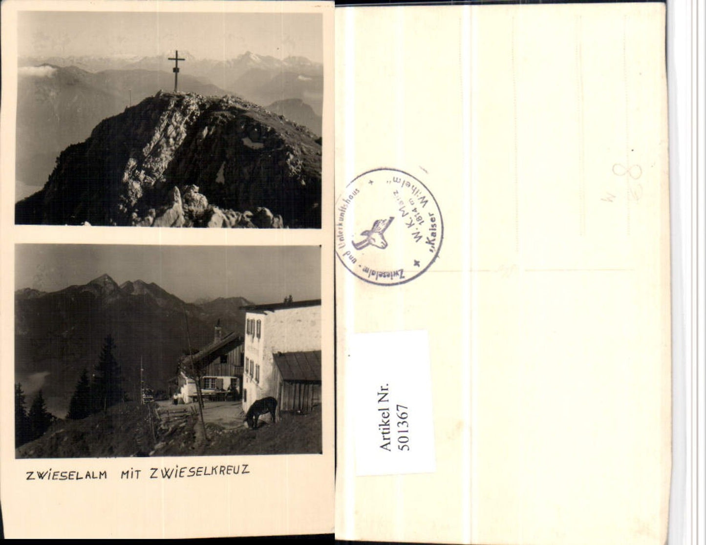 501367,Zwieselalm m. Zwieselkreuz b. Gosau Mehrbildkarte