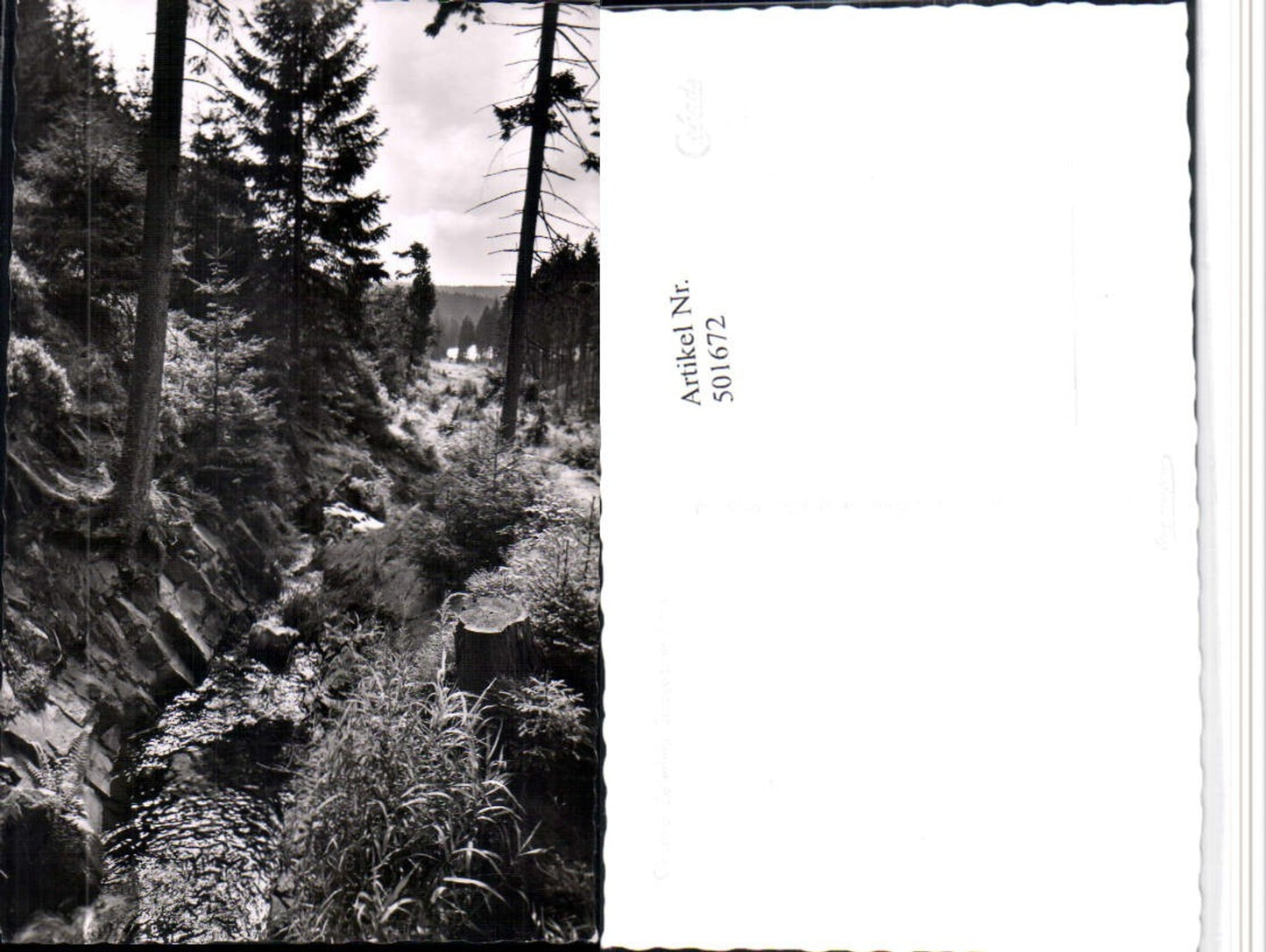 501672,Clausthal-Zellerfeld Spiegeltaler Wasserfall