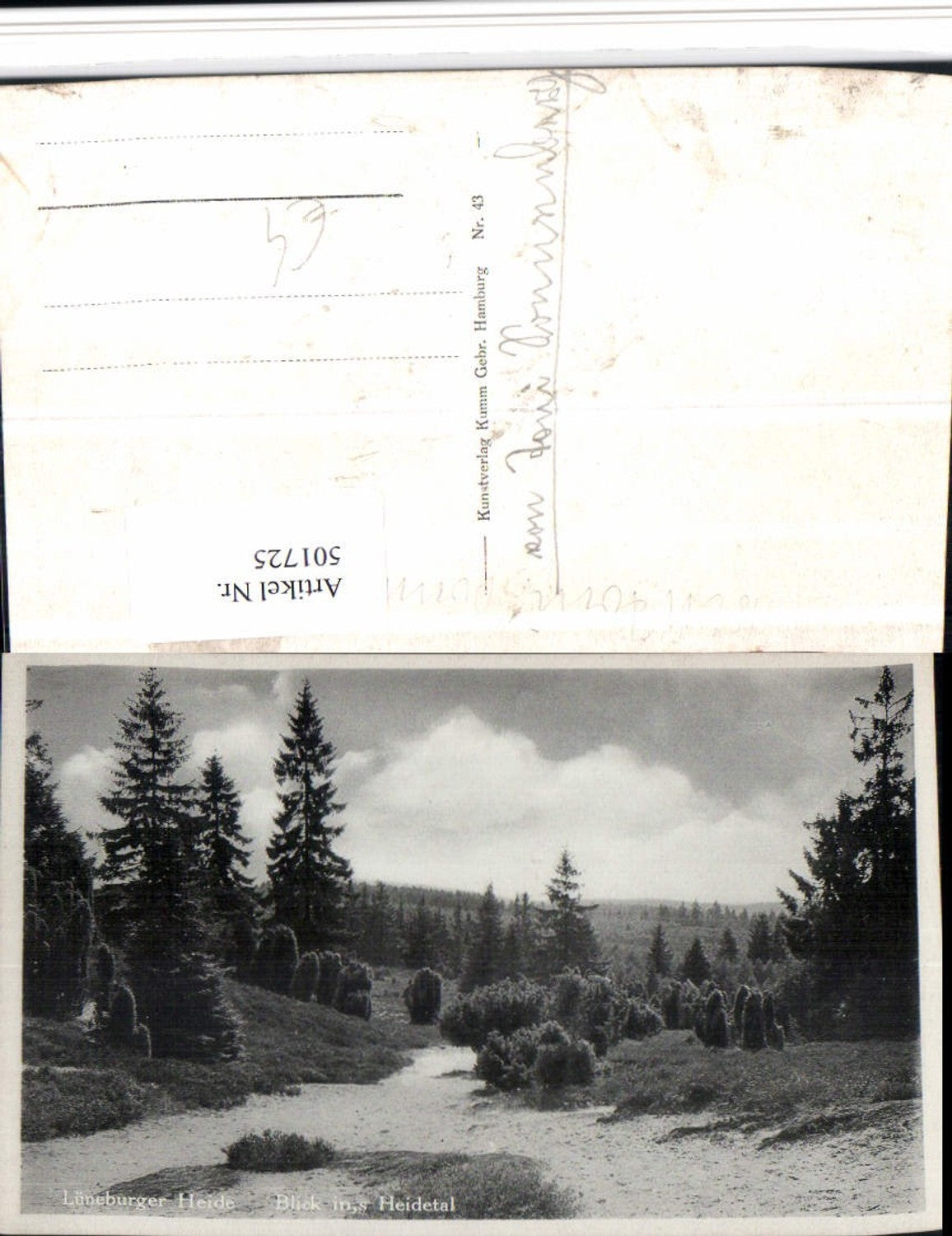 501725,Lüneburger Heide Blick ins Heidetal b. Schnevedingen Landschaft