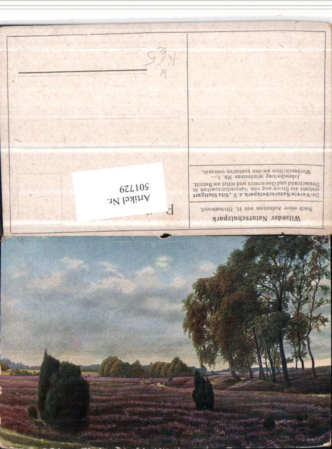 501729,Künstler AK H. Hildenbrand Wilseder Naturschutzpark b. Bispingen