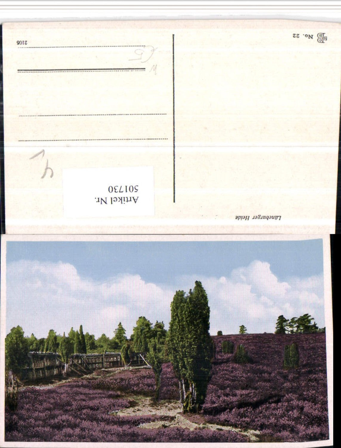 501730,Lüneburger Heide b. Schnevedingen Landschaft