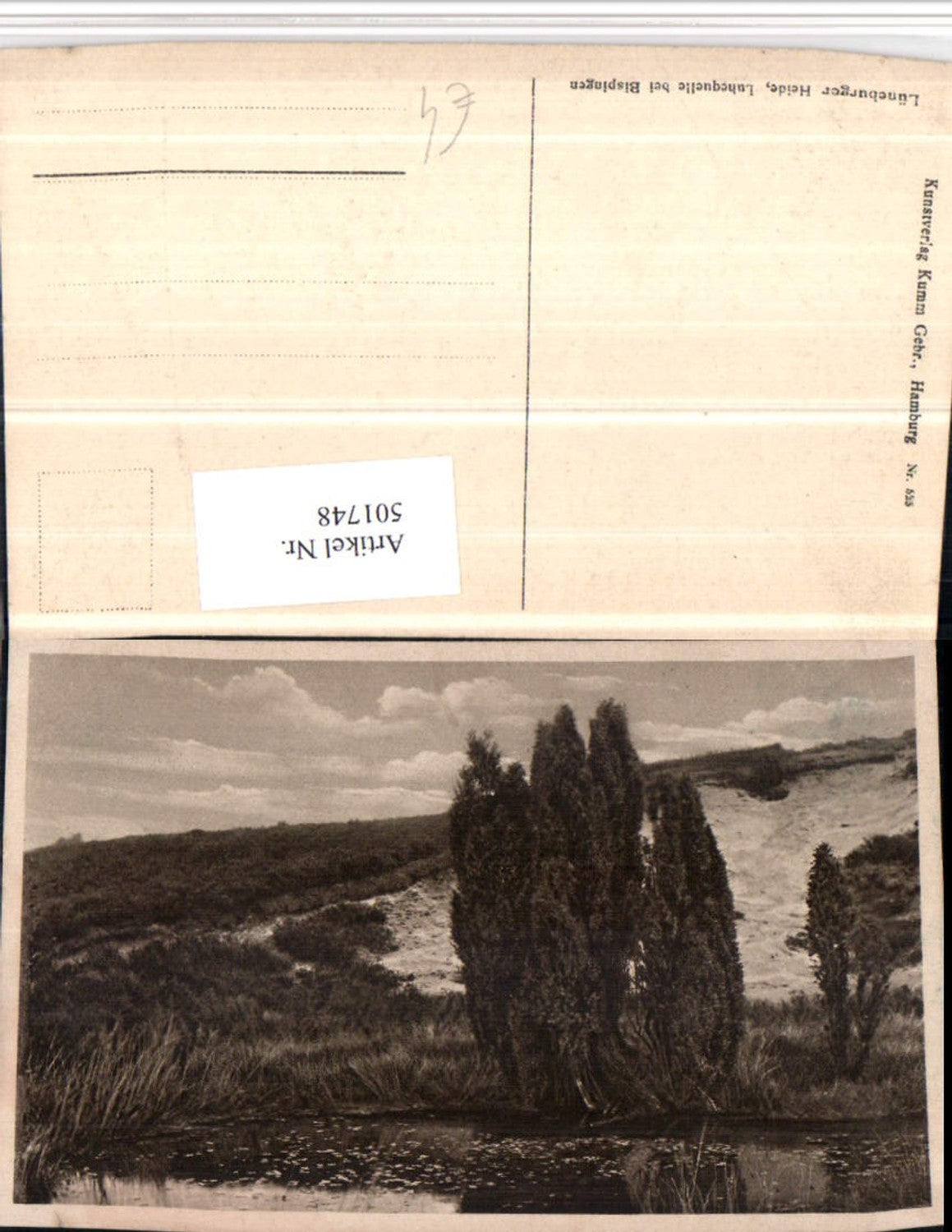 501748,Lüneburger Heide Luhequelle b. Bispingen Landschaft