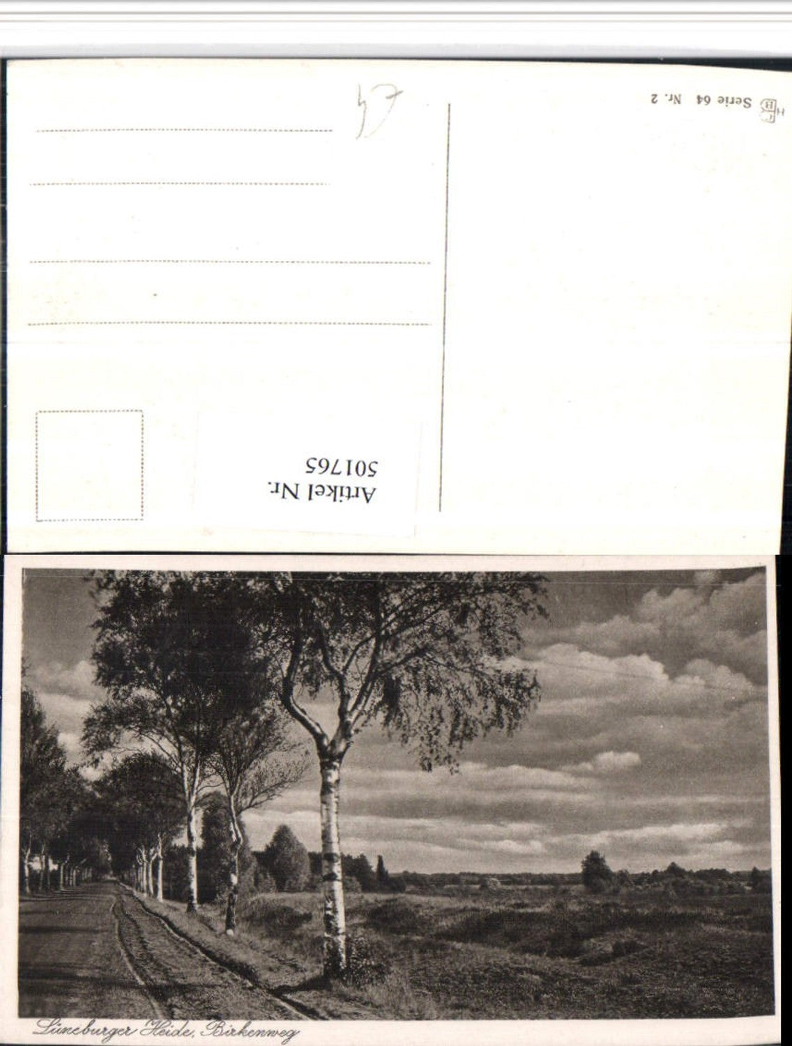 501765,Lüneburger Heide b. Bispingen Birkenweg Landschaft
