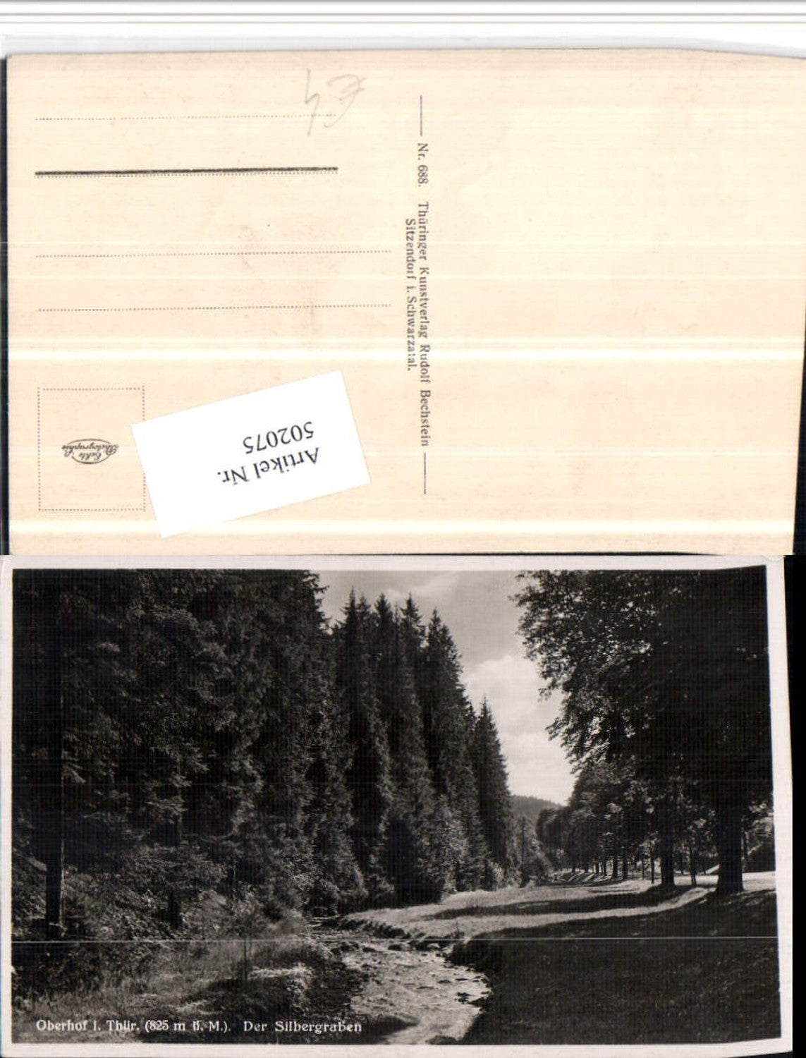 502075,Oberhof Silbergraben Landschaft