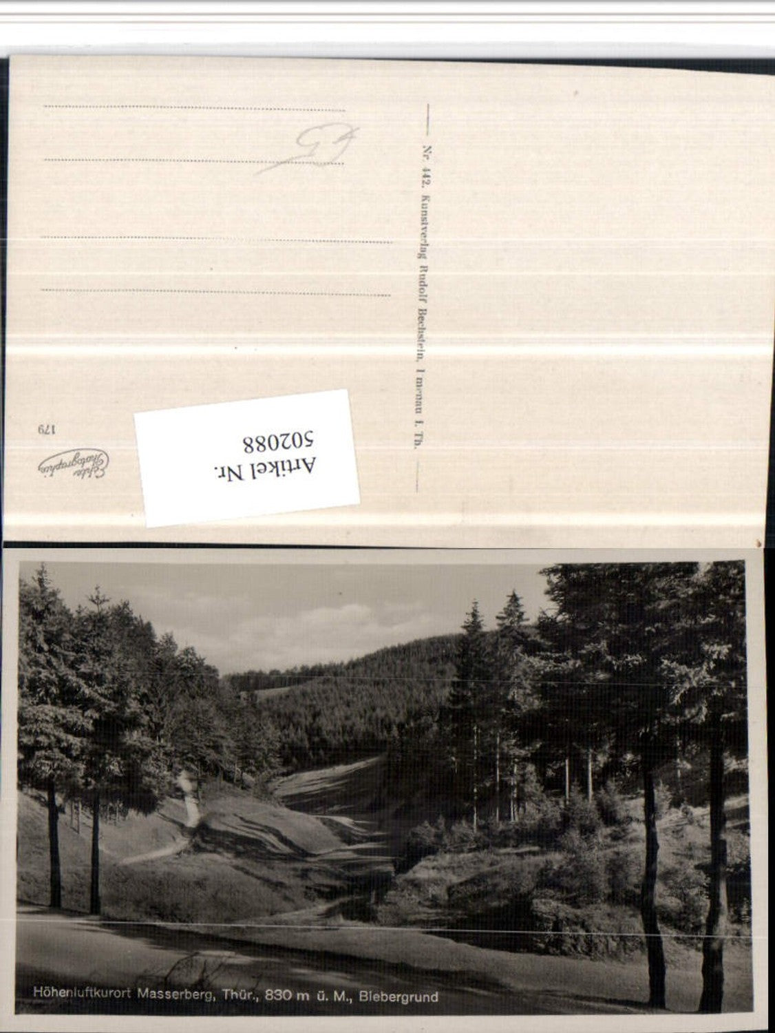 502088,Masserberg Biebergrund Landschaft Wald