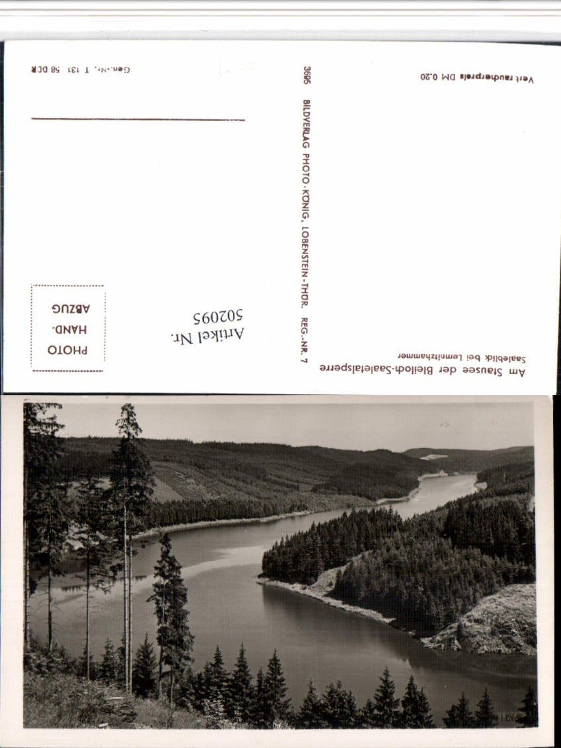 502095,Stausee der Bleiloch-Saaletalsperre Saaleblick b. Lemnitzhammer