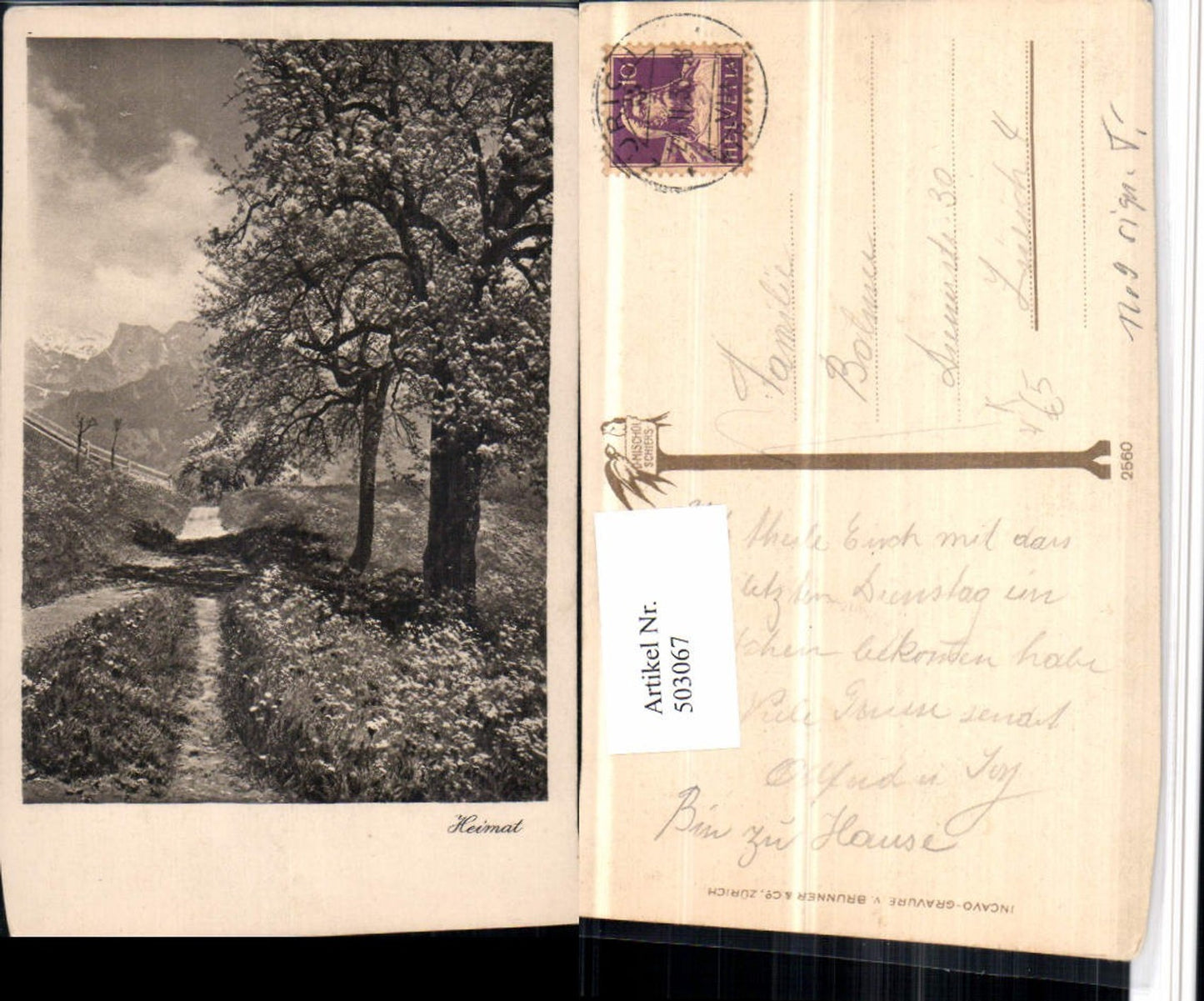 503067,Fotokunst D. Mischol Schiers 2560 Baumblüte pub Brunner & Co