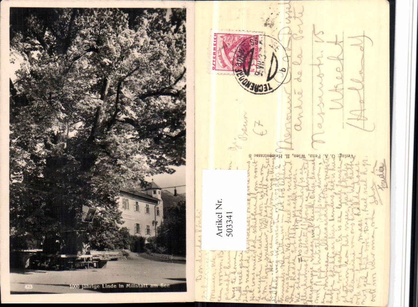 503341,Millstatt am See 1000 jährige Linde Großer Baum