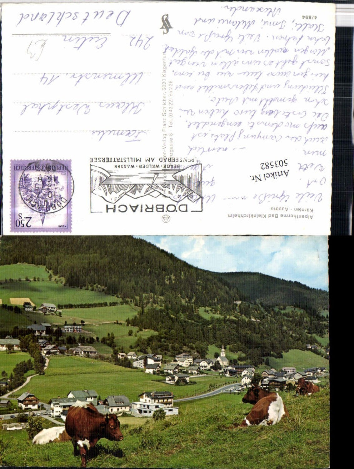503582,Bad Kleinkirchheim Totale Rinder