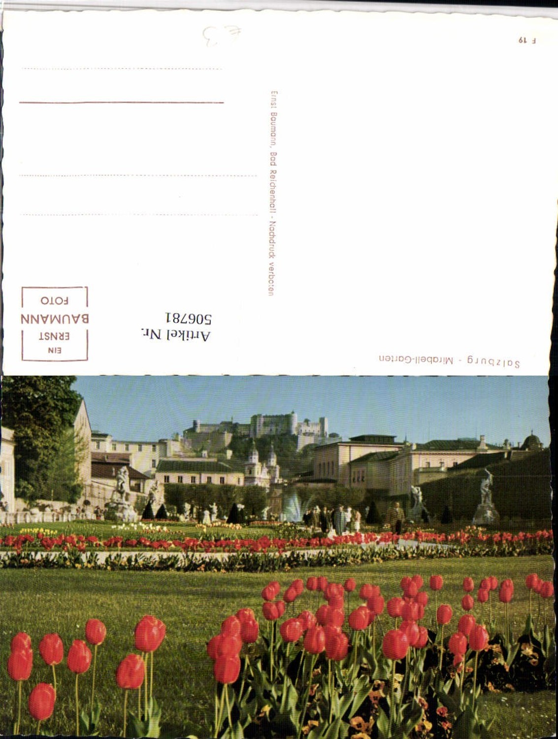 506781,Salzburg Mirabell-Garten Tulpen m. Blick zur Festung