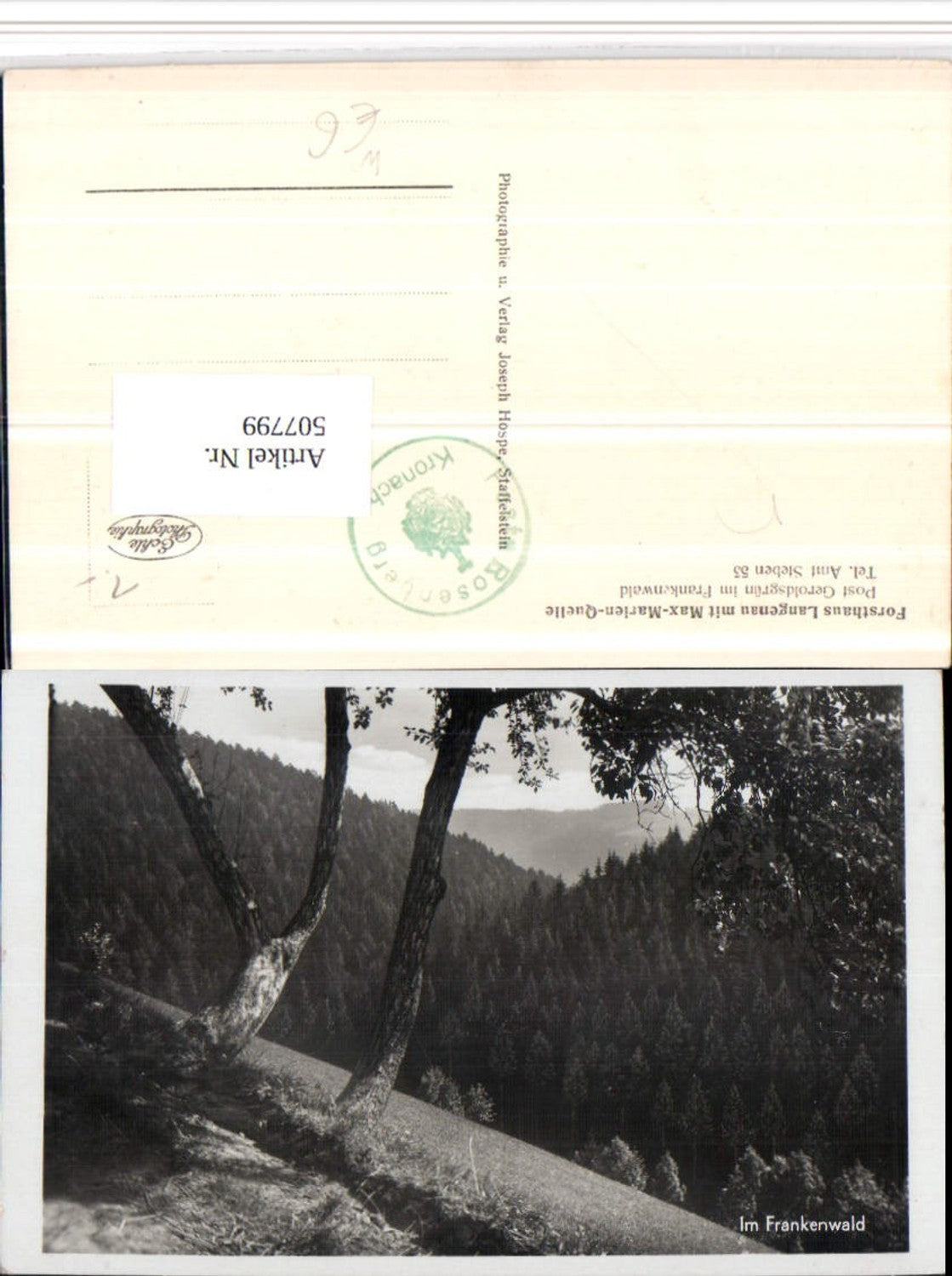 507799,Frankenwald Wald b. Geroldsgrün Steben