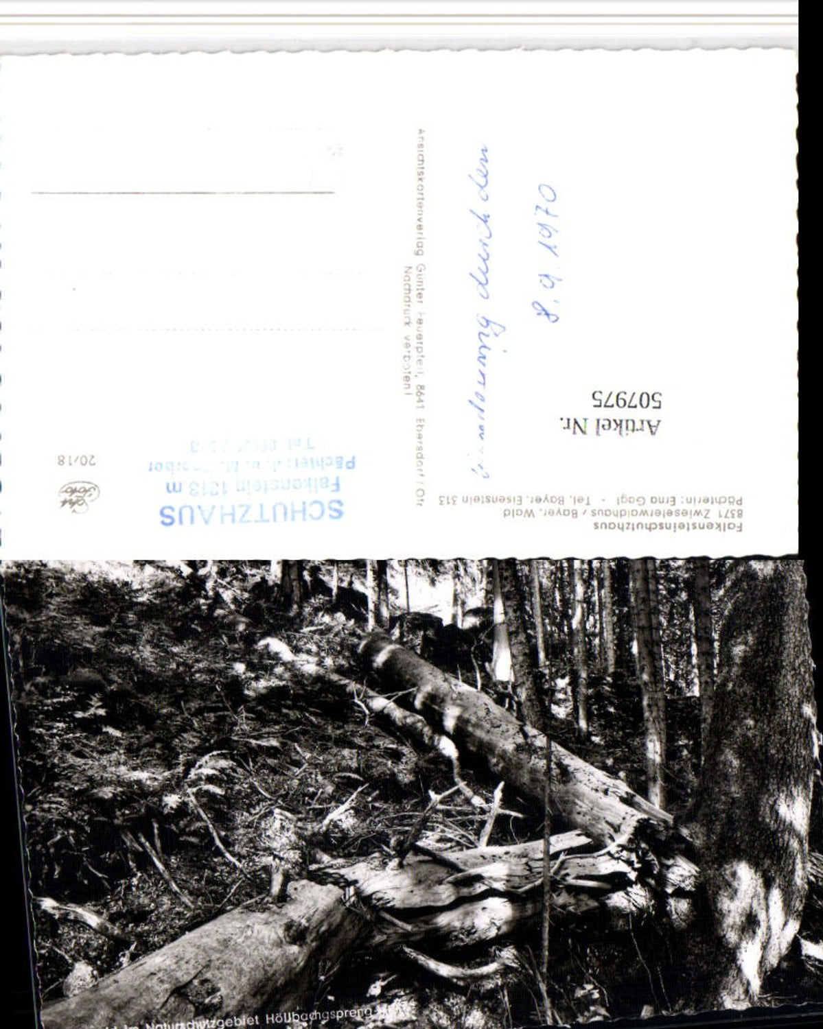 507975,Urwald im Naturschutzgebiet Höllbachgspreng b. Lindberg