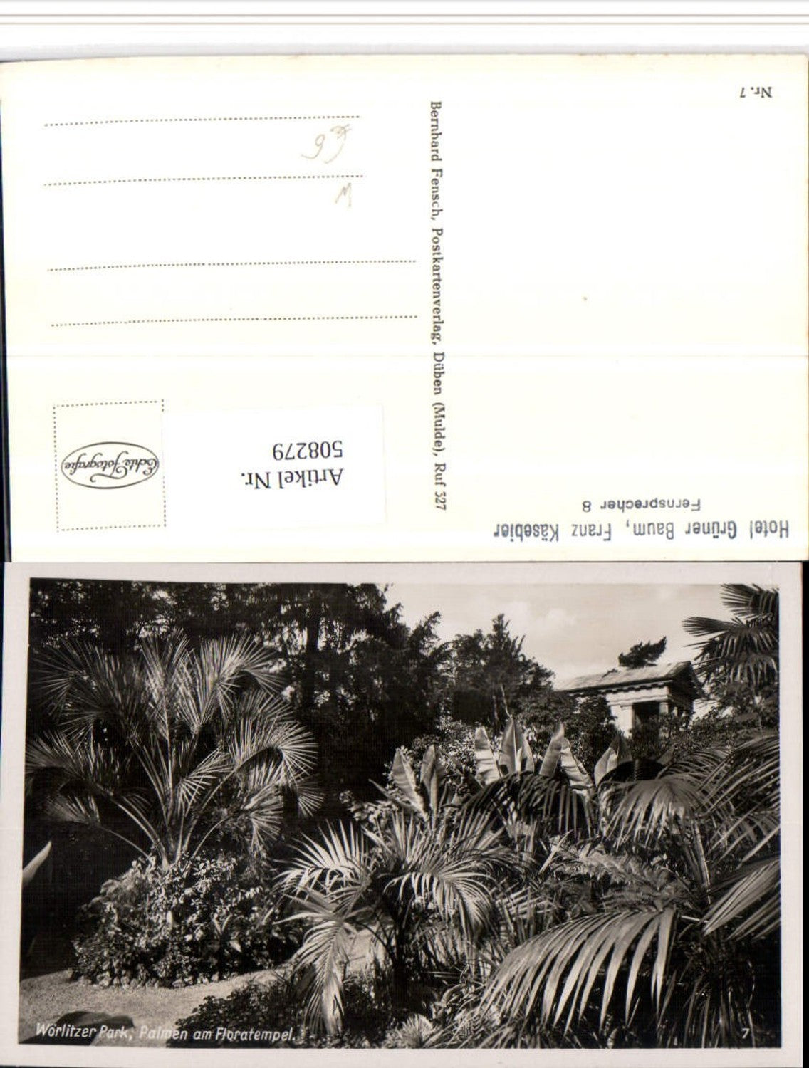 508279,Wörlitzer Park b. Wörlitz Palmen am Floratempel