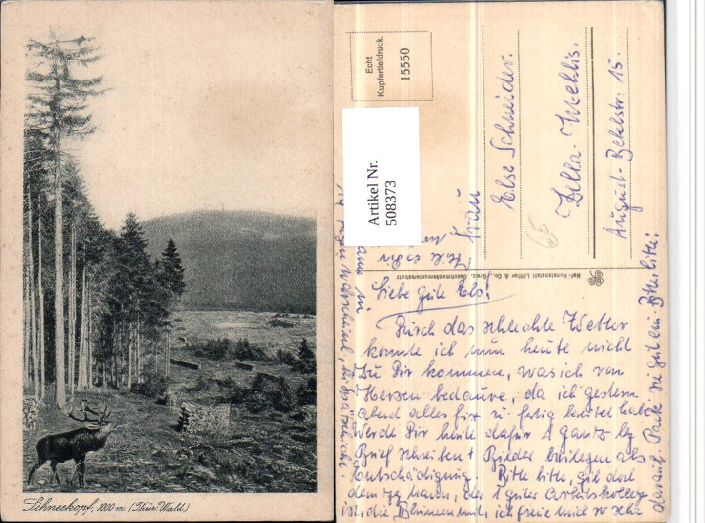 508373, Schneekopf in the Thuringian Forest near Gehlberg, deer, game