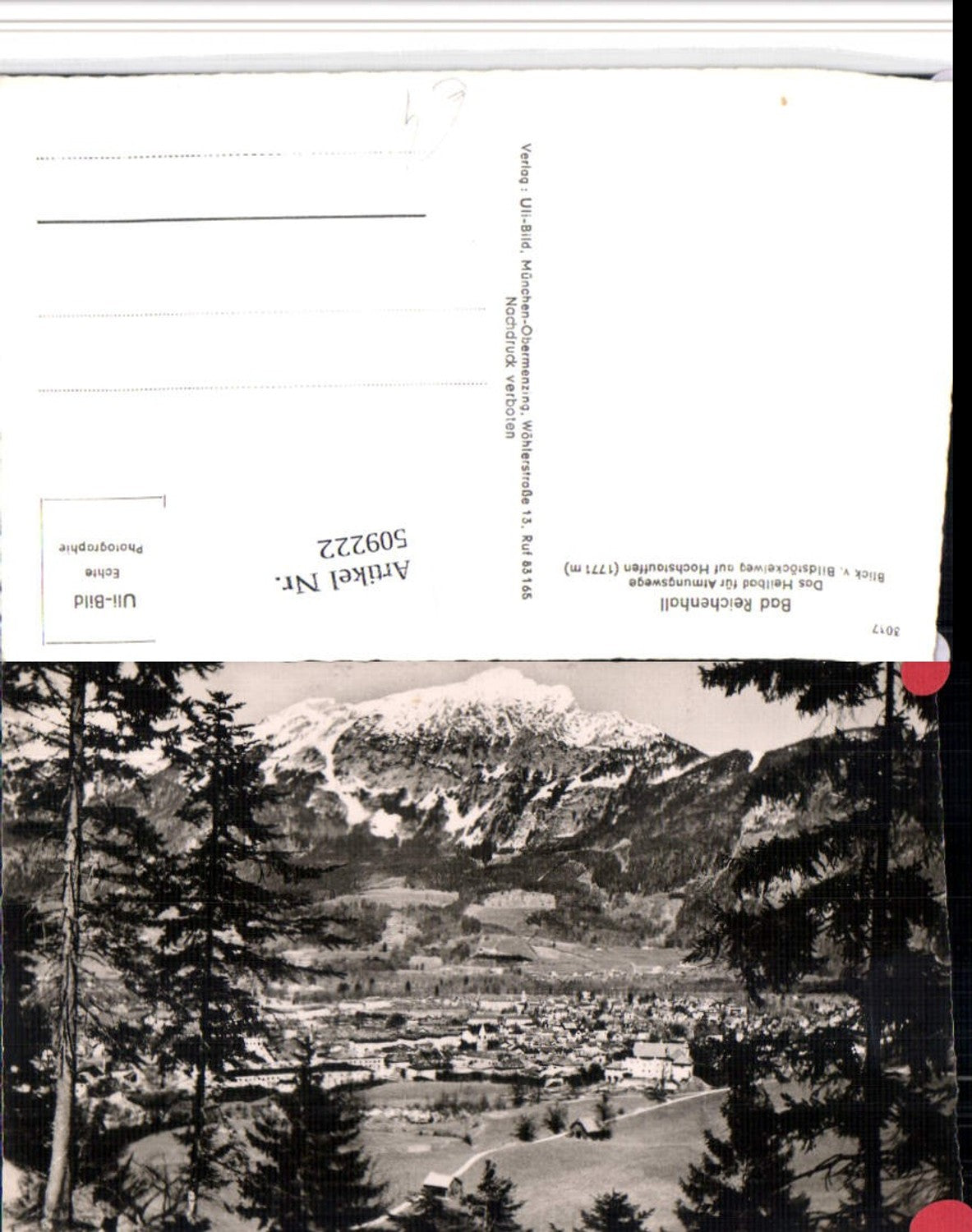 509222,Bad Reichenhall Totale vom Bildstöckelweg Bergkulisse