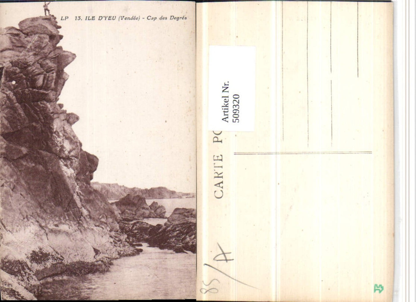 509320,Pays de la Loire Vendee Ile d'Yeu Cap des Degres Küste Felsen