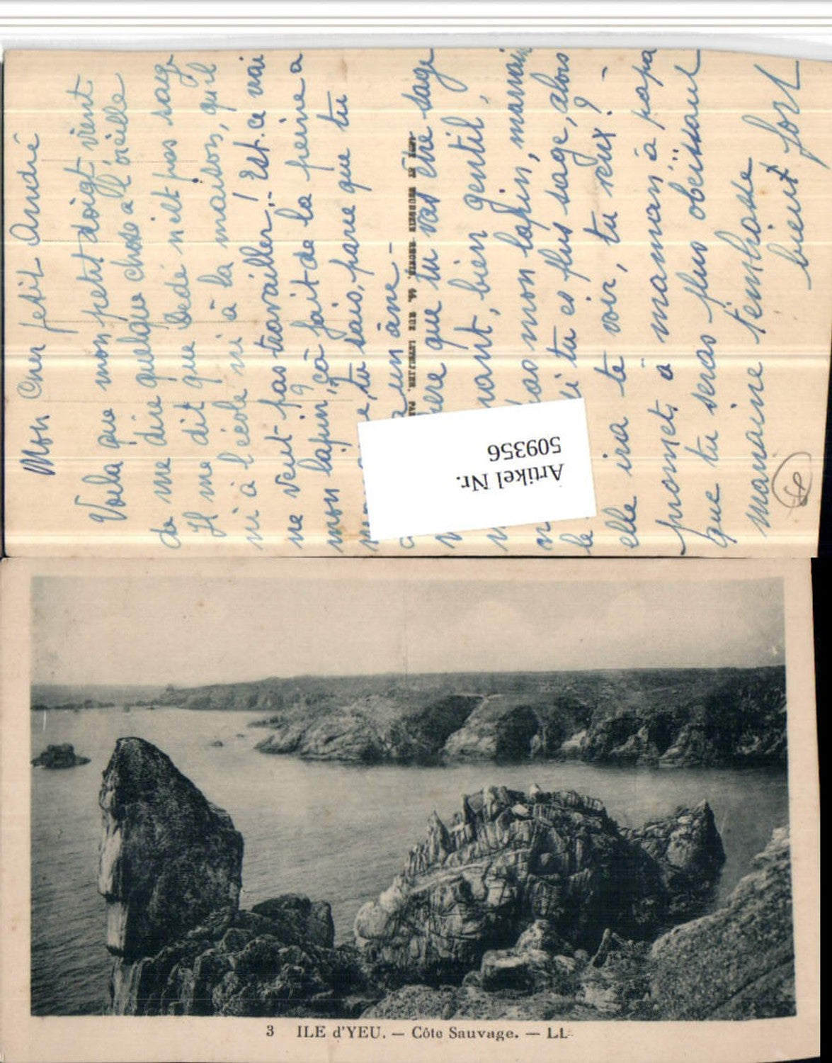 509356,Pays de la Loire Vendee Ile d'Yeu Cote Sauvage Küste
