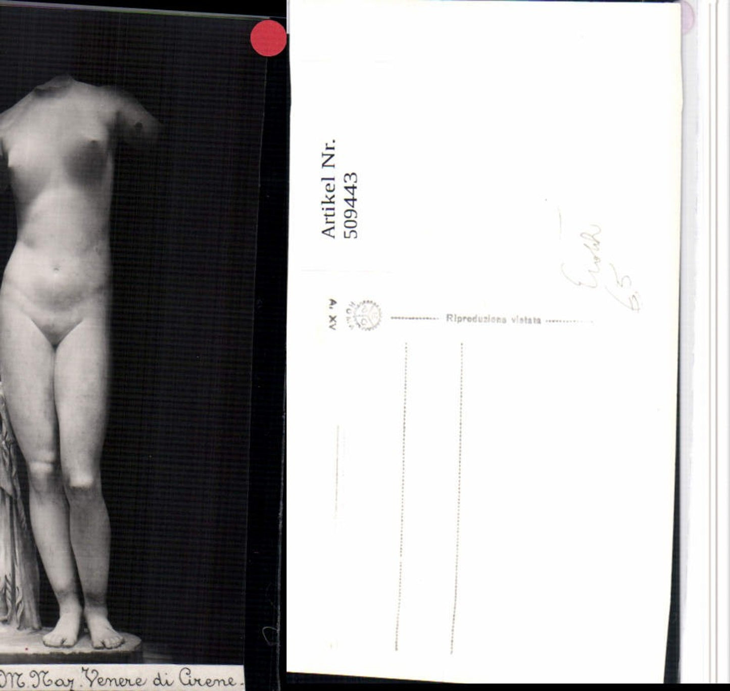509443,Roma Rom Venere di Cireme Erotik Statue