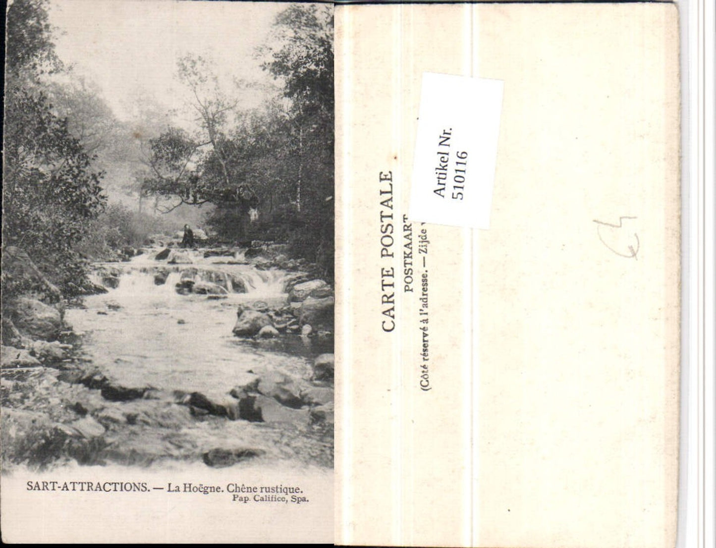 510116,Belgium Spa Sart-Attractions La Hoegne Chene rustique Wildbach