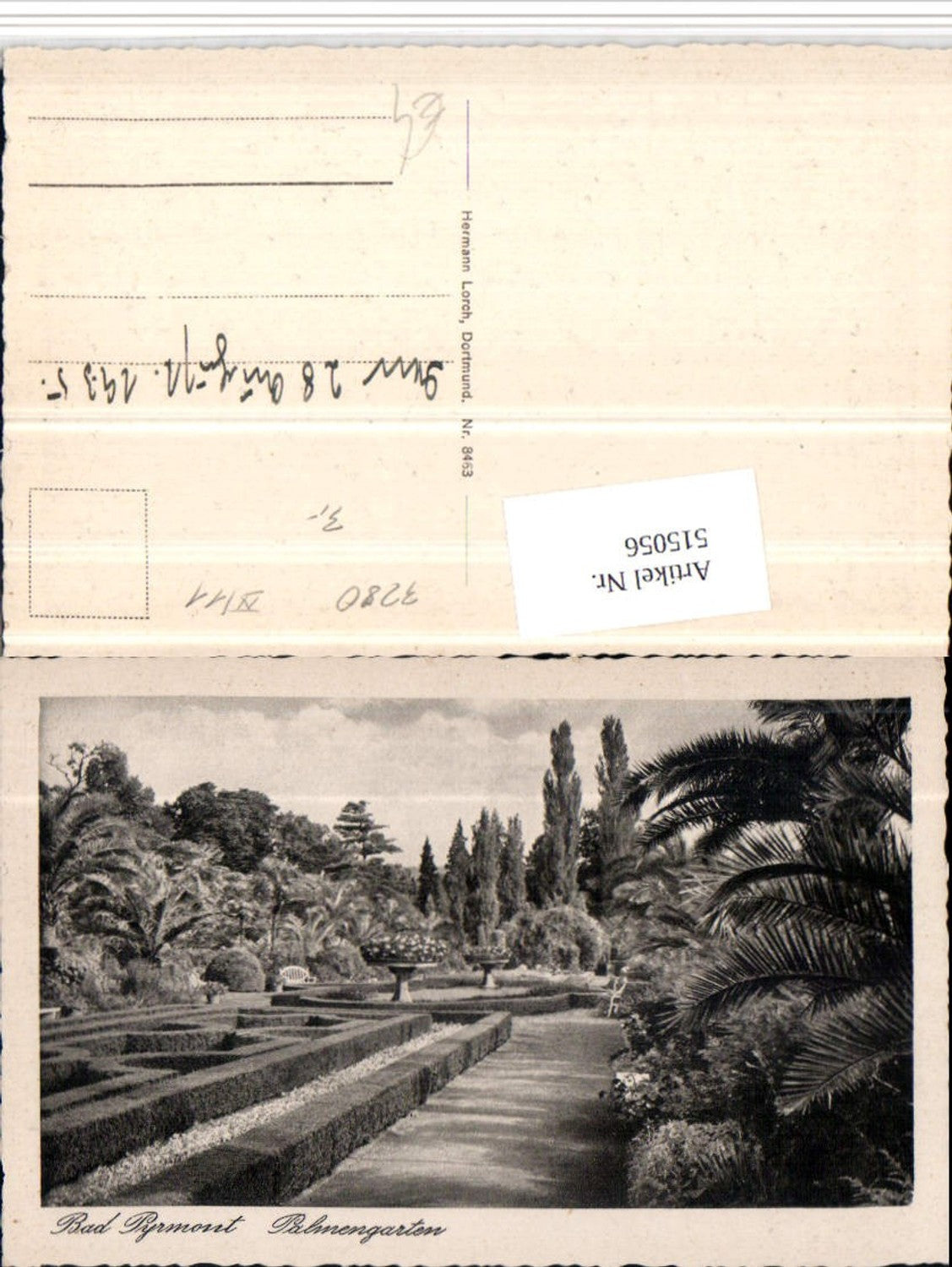 515056,Bad Pyrmont Palmengarten