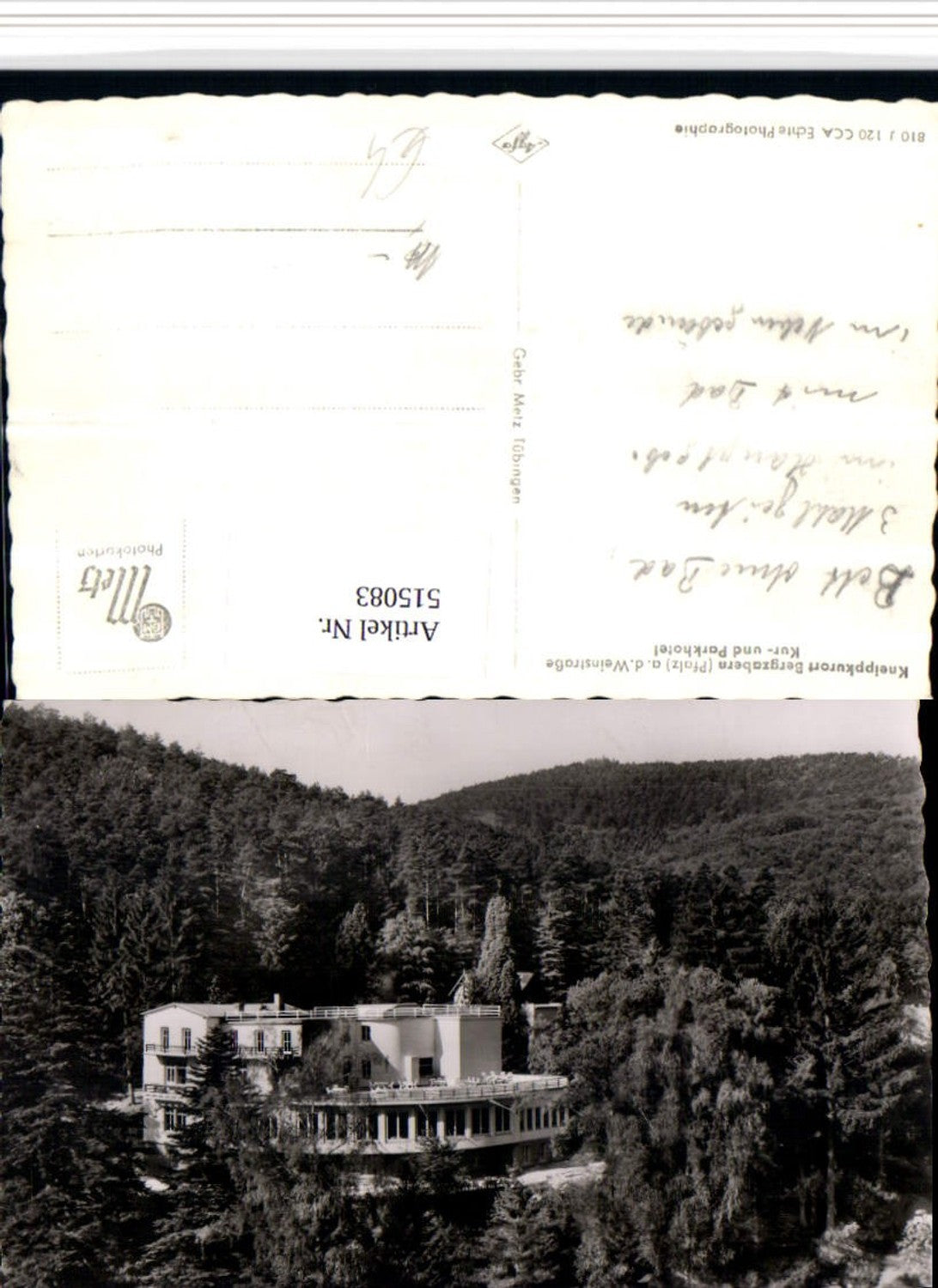 515083,Bergzabern an d. Weinstraße Kur- und Parkhotel