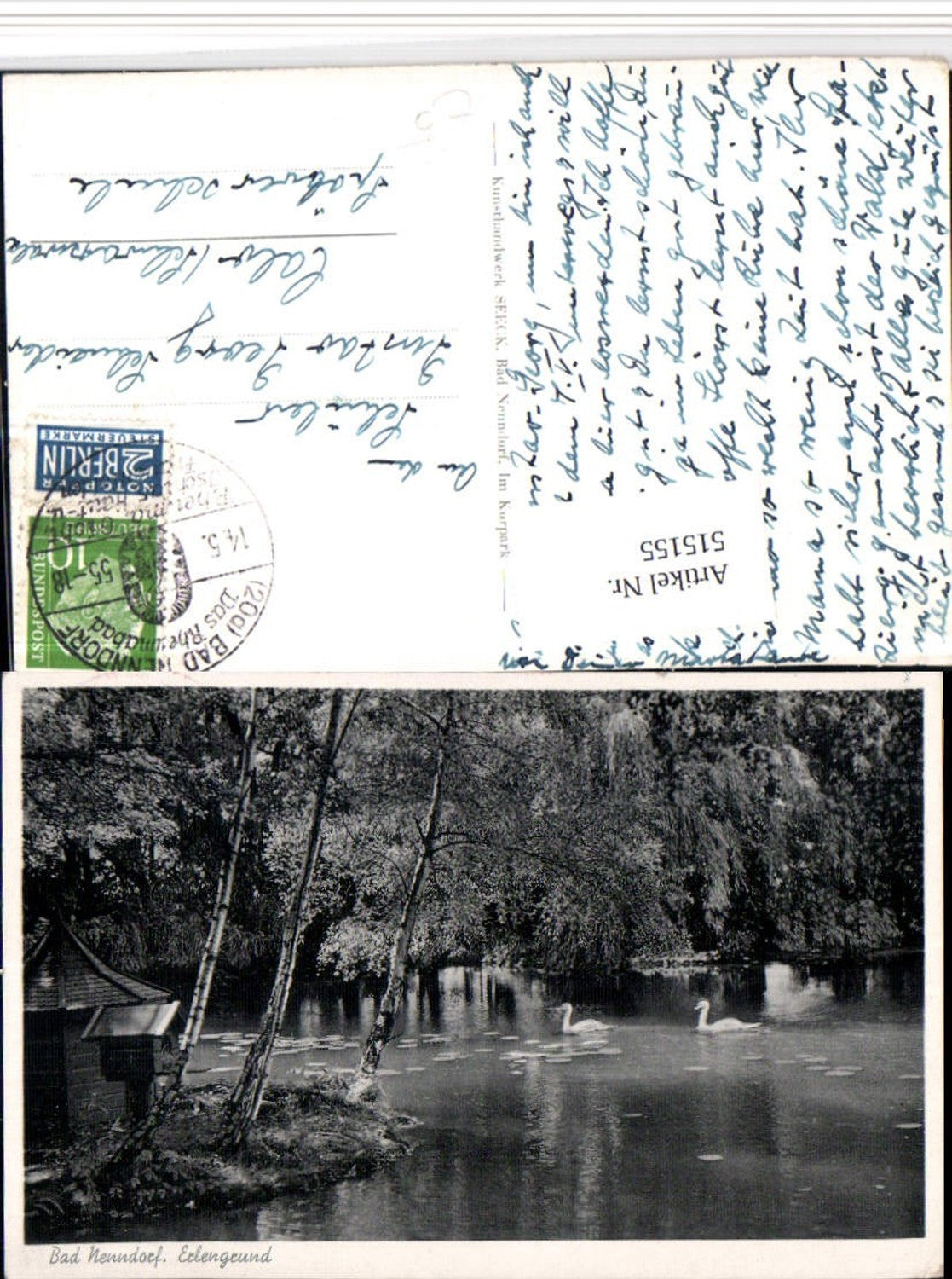 515155,Bad Nenndorf Erlengrund Teich Schwäne