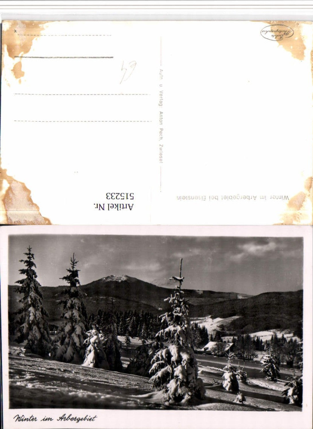 515233, Arber area near Bayerisch Eisenstein, winter landscape