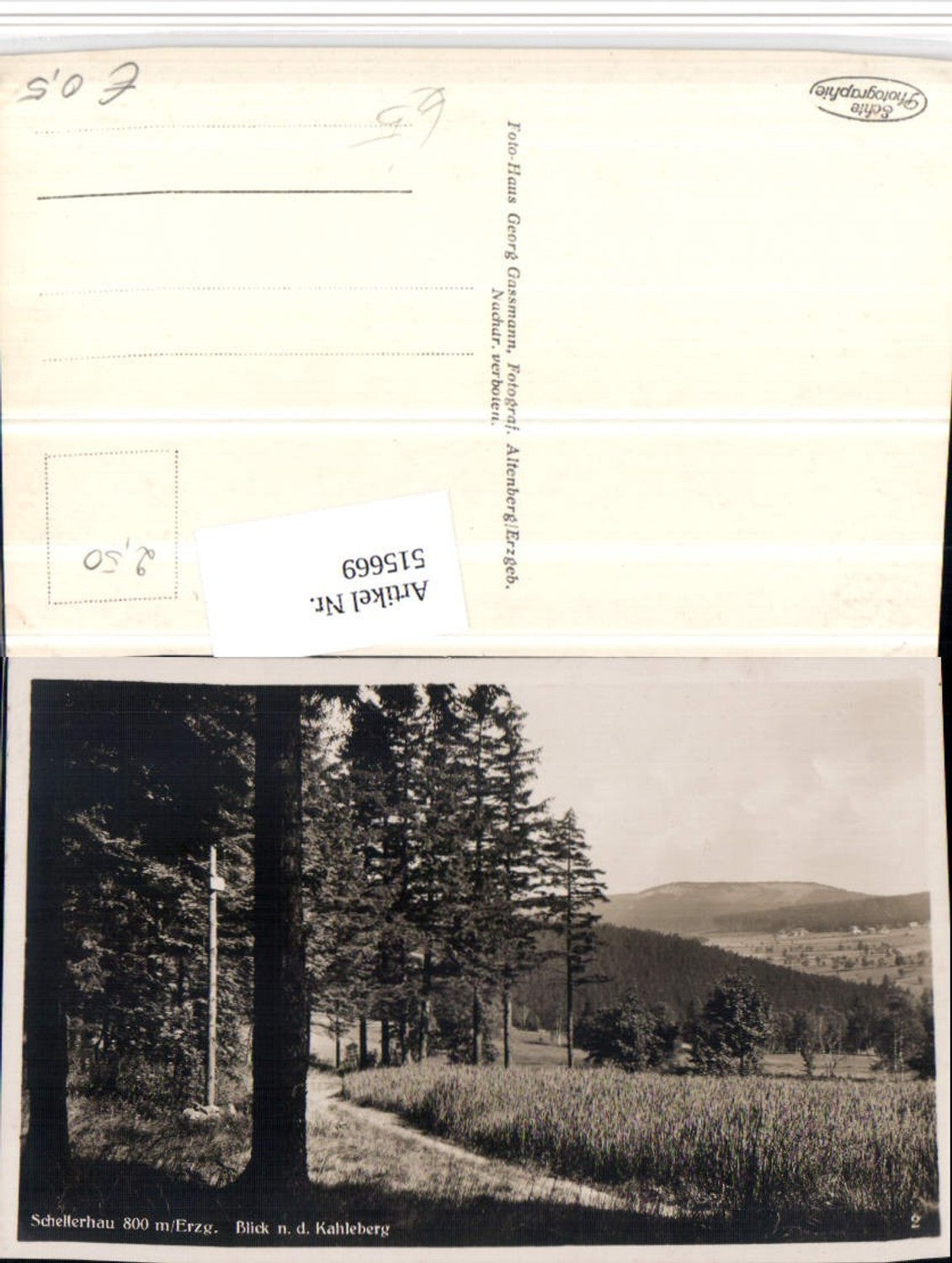 515669,Schellerhau im Erzgebirge b. Altenberg Blick n. d. Kahleberg Landschaft