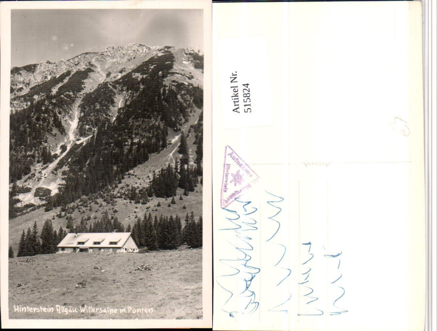 515824,Hinterstein im Allgäu b. Bad Hindelang Willersalpe Bergkulisse