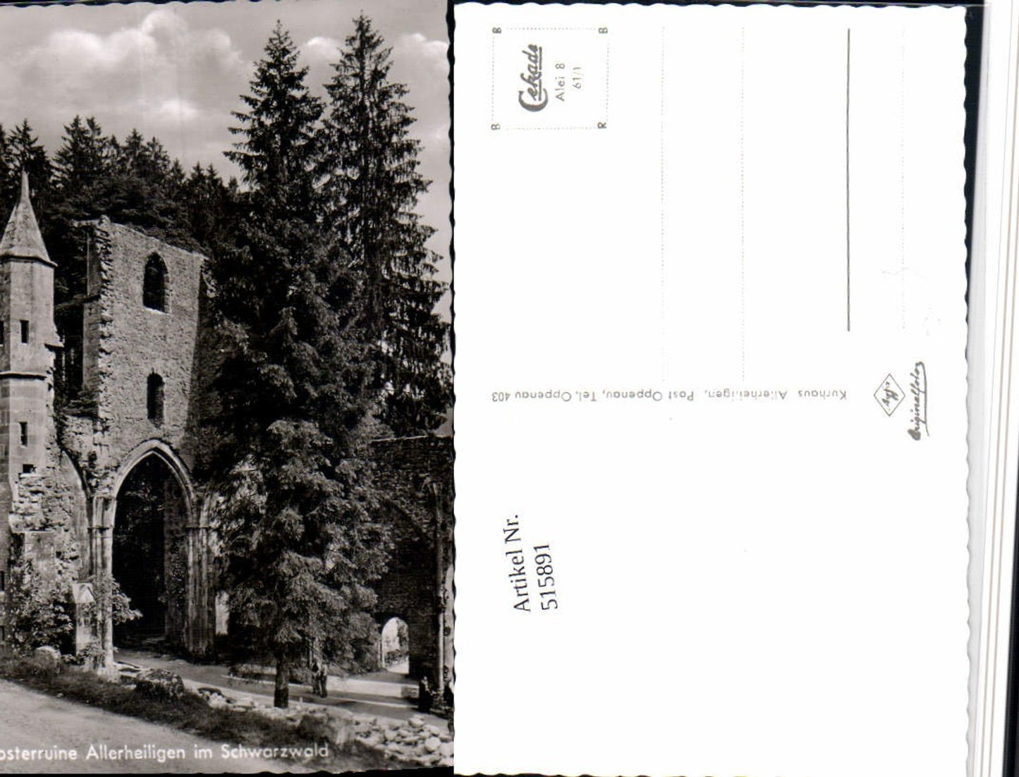 515891,Klosterruine Allerheiligen b. Oppenau im Schwarzwald