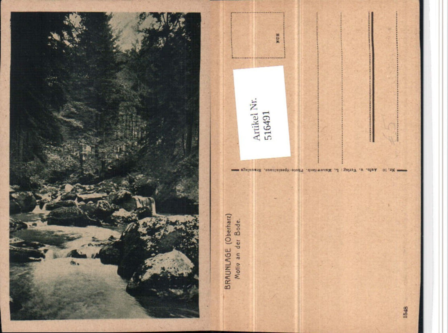 516491,Braunlage im Oberharz Motiv an d. Bode Wildbach Wald