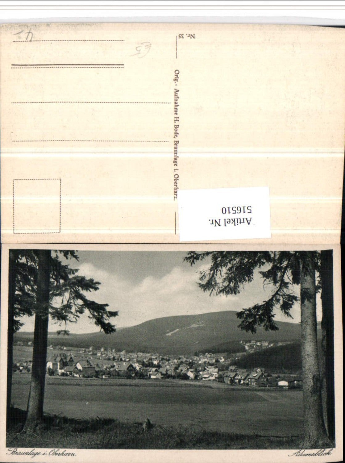 516510,Braunlage im Oberharz Totale Adamsblick
