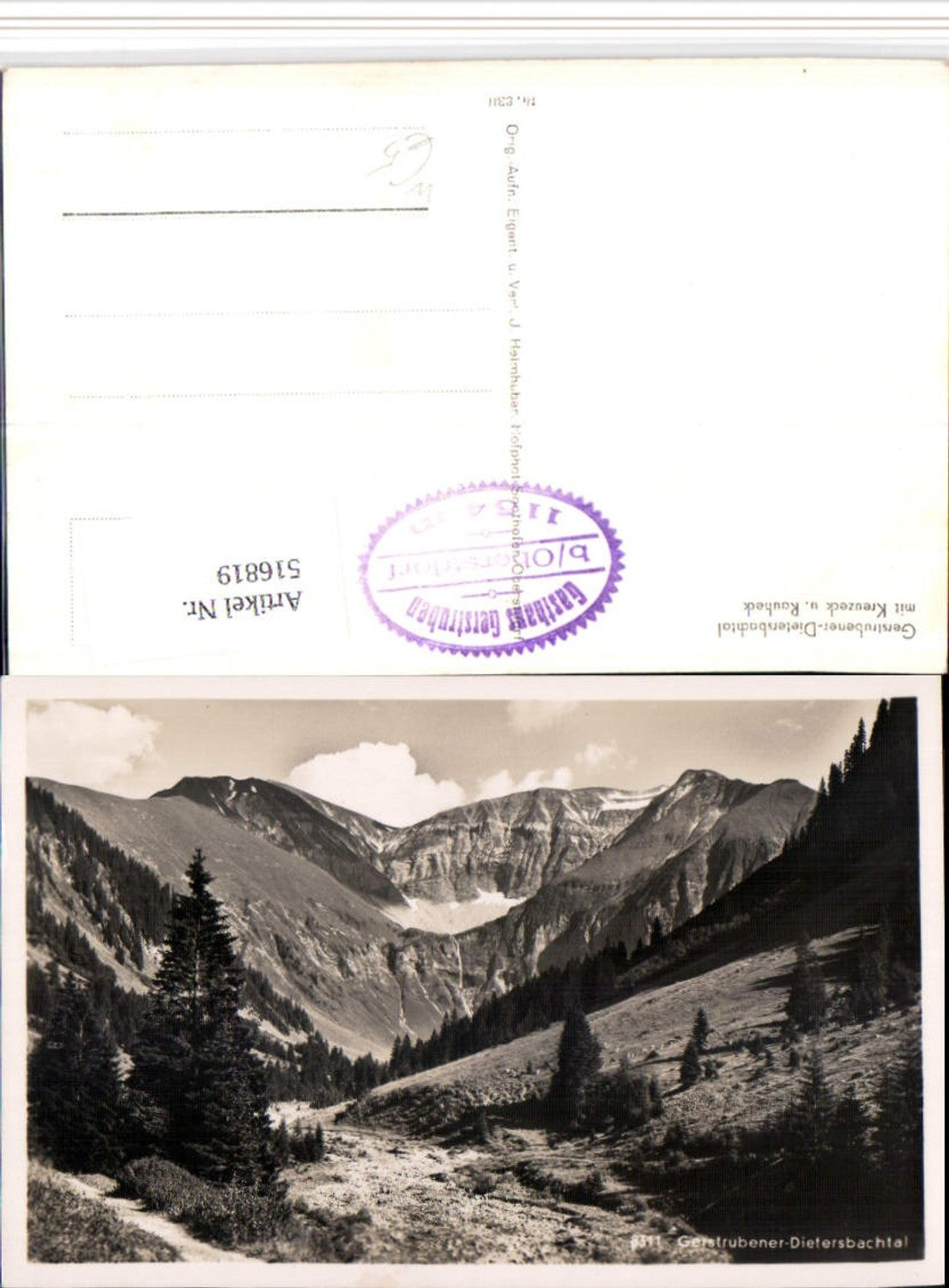 516819,Gerstrubener-Dietersbachtal b. Oberstdorf m. Kreuzeck Bergkulisse