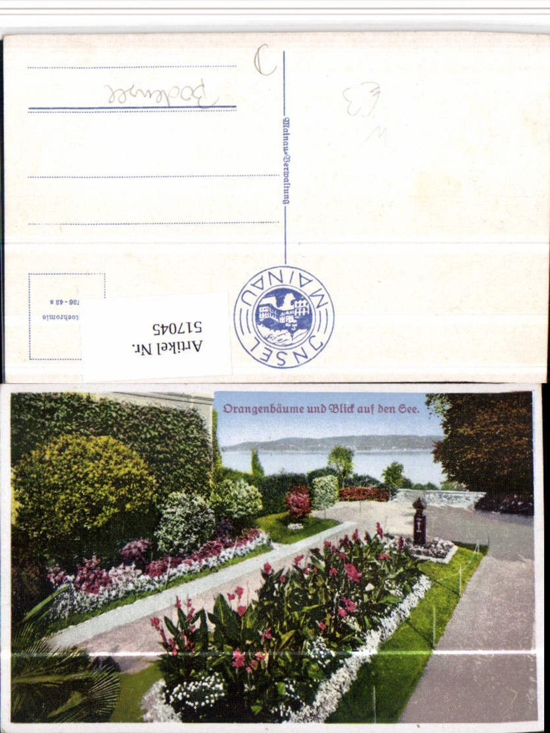 517045,Insel Mainau im Bodensee Orangenbäume m. Blick auf See
