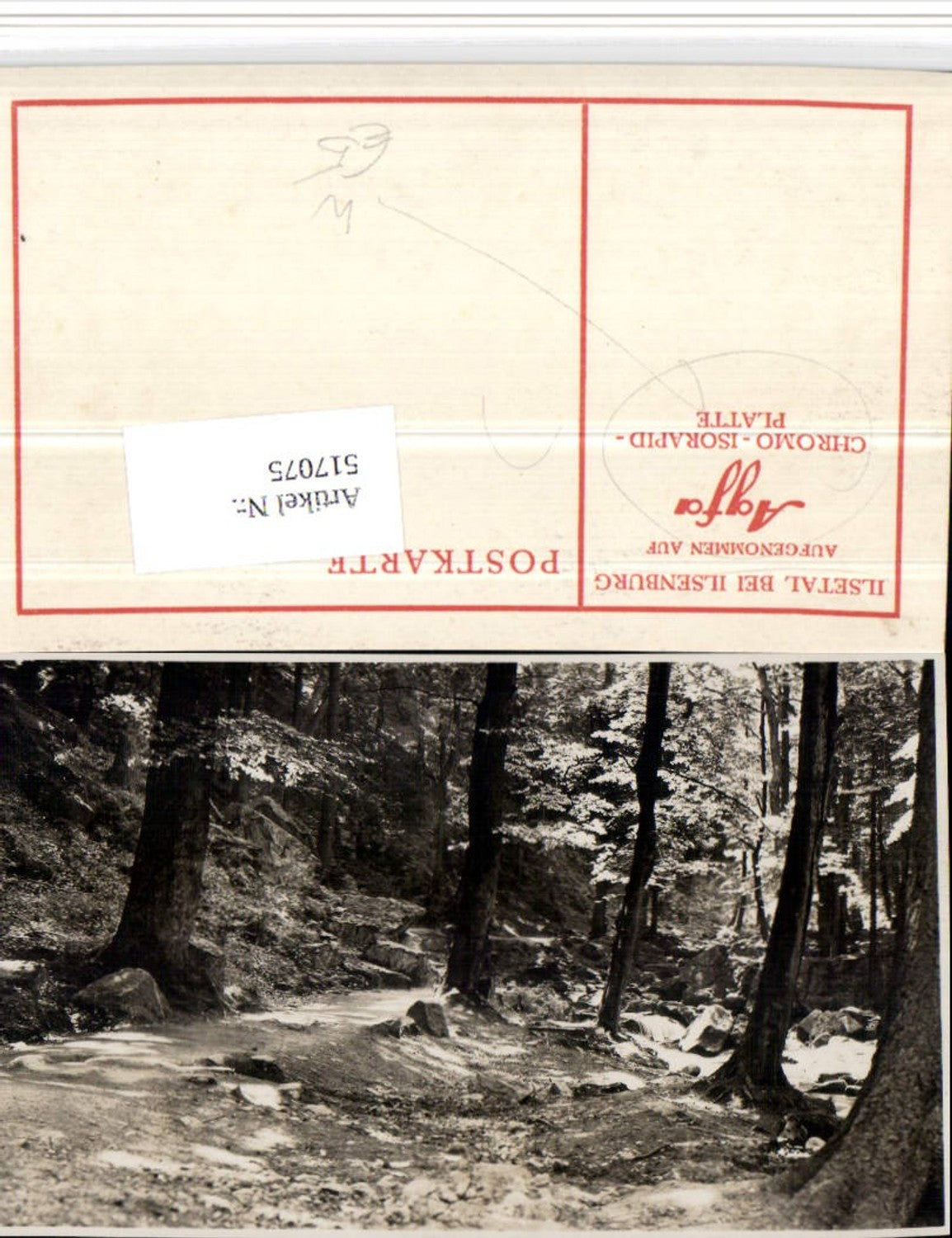 517075, Ilsetal near Ilsenburg, Waldpartie pub, Agfa Chromo-Isorapid plate